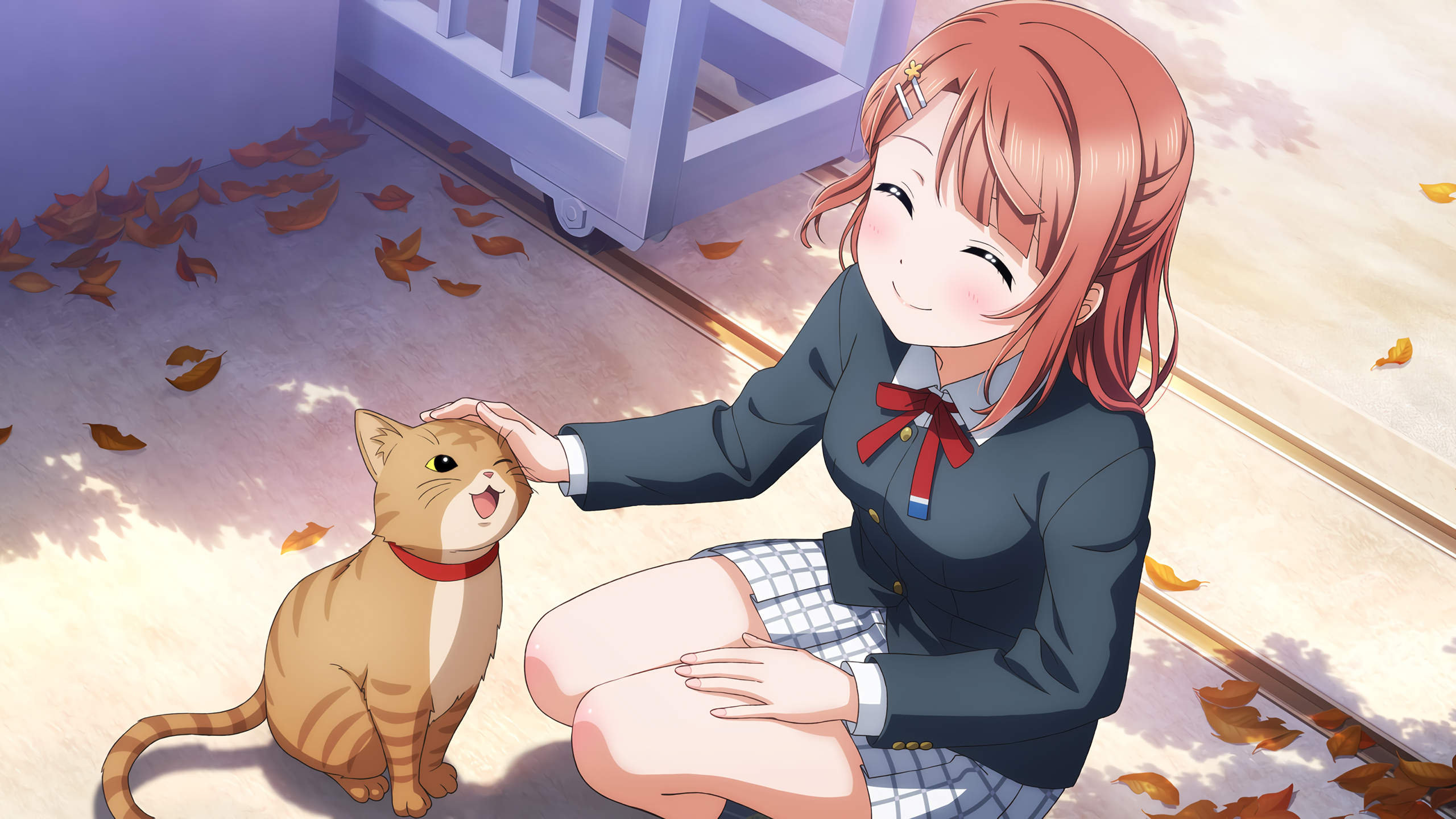 lovelive,猫咪,可爱,笑眯眯