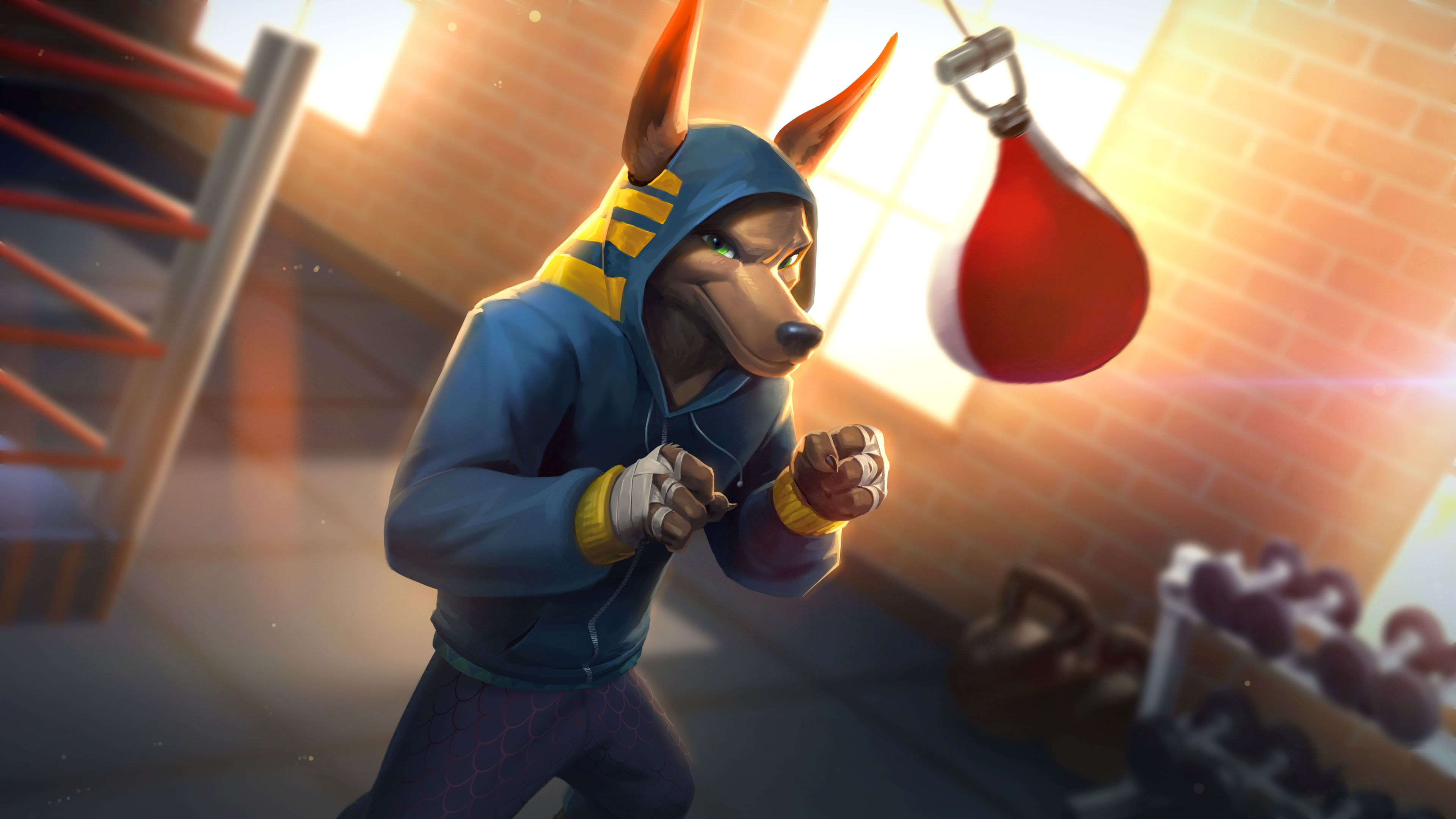 神之审判,拳击狗,健身房