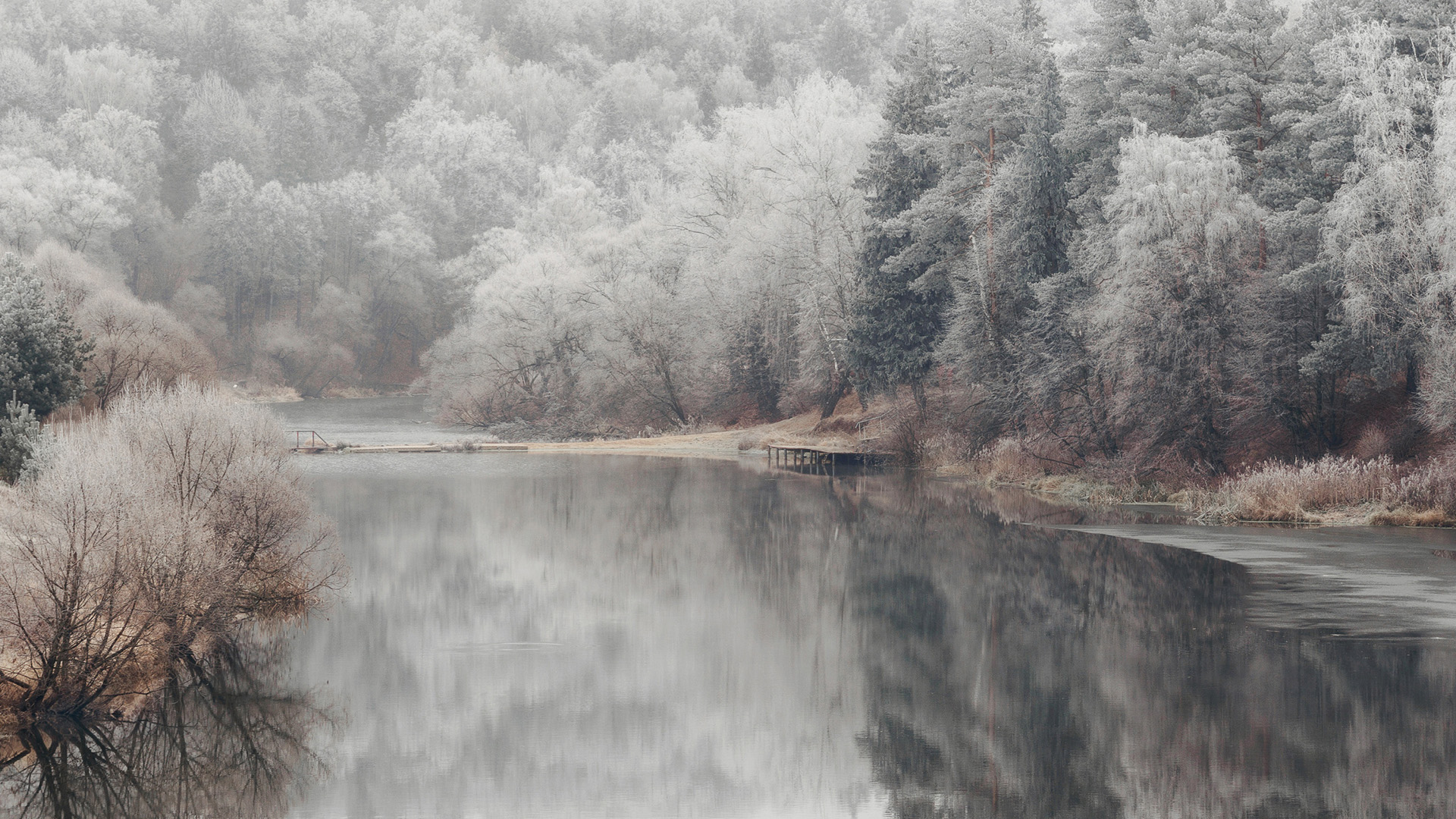 冰天雪地,大江,树林,倒影