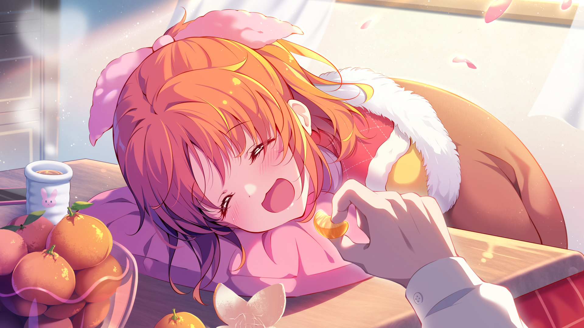 睡觉,橘子,干物,可爱