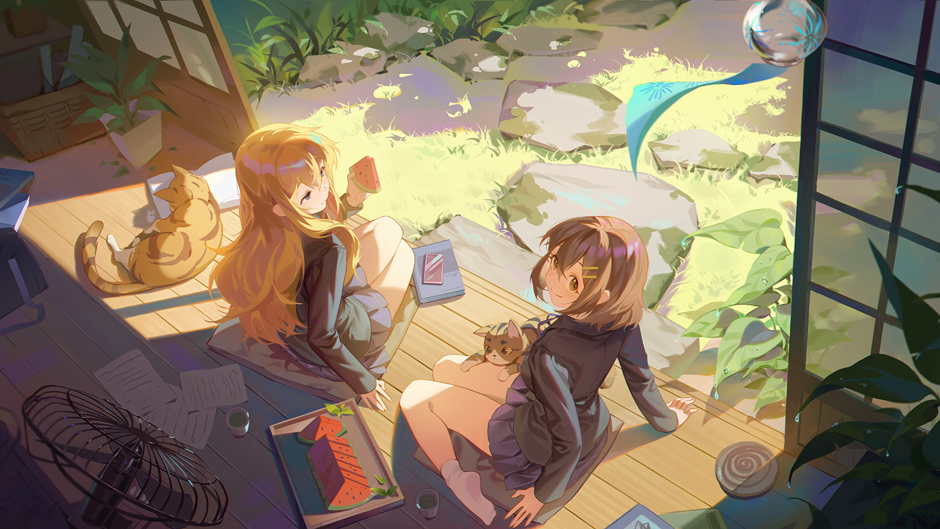 庭院,温馨房间,猫咪,夏天,西瓜