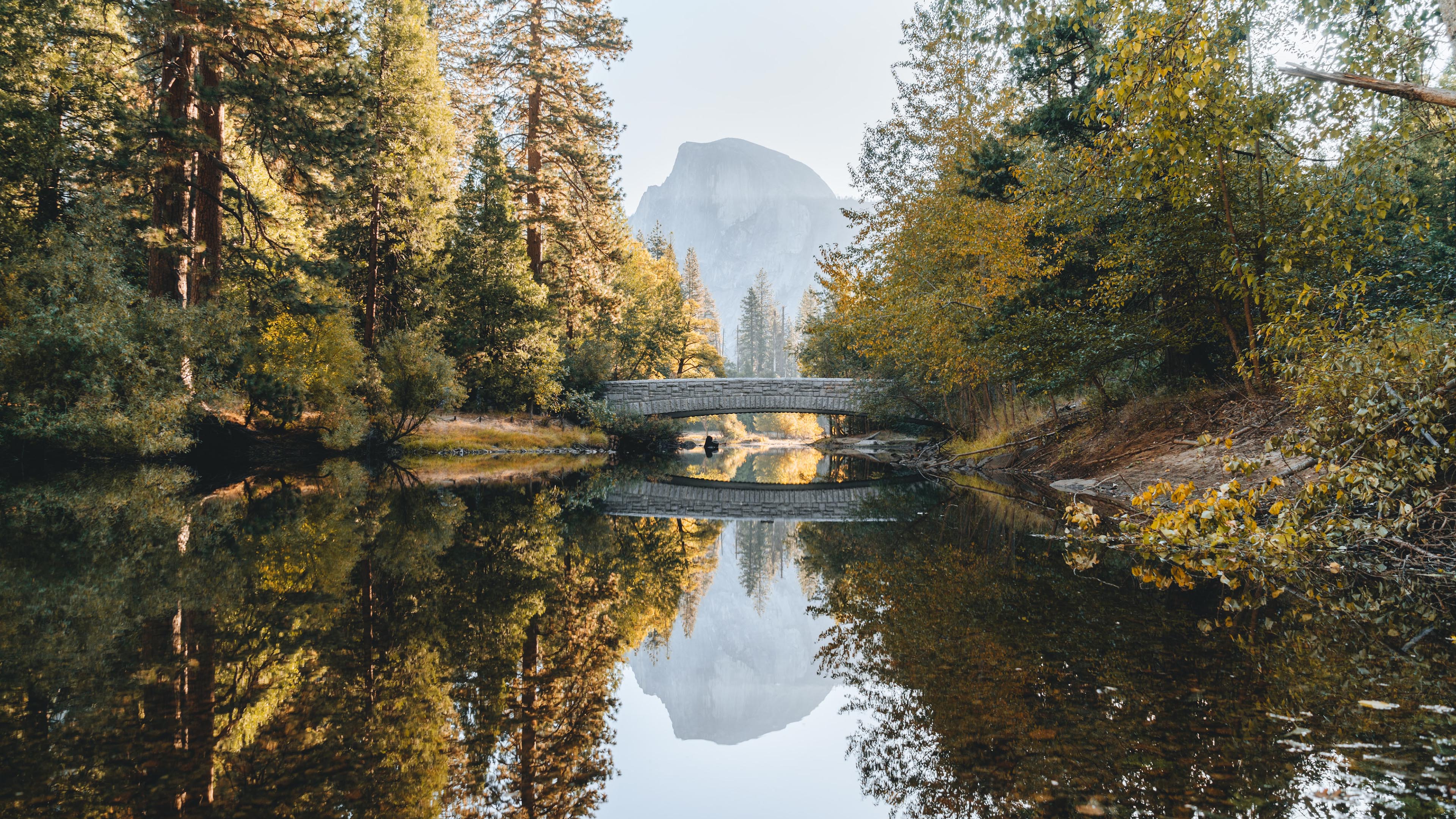 秋意正浓,石桥,倒影,森林