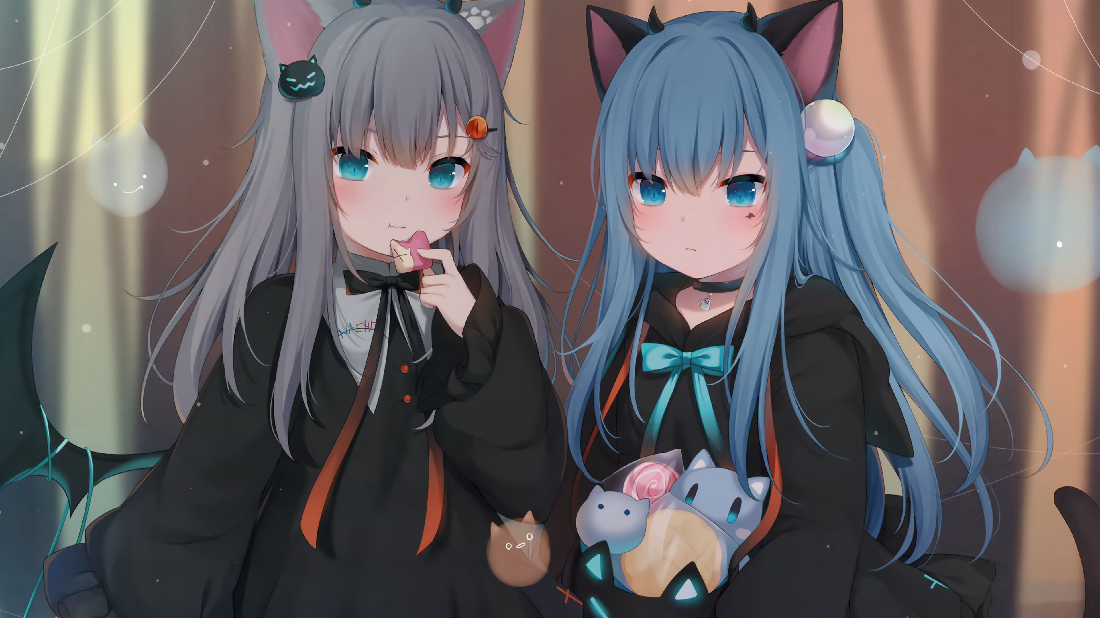 猫耳,布偶,猫咪,可爱