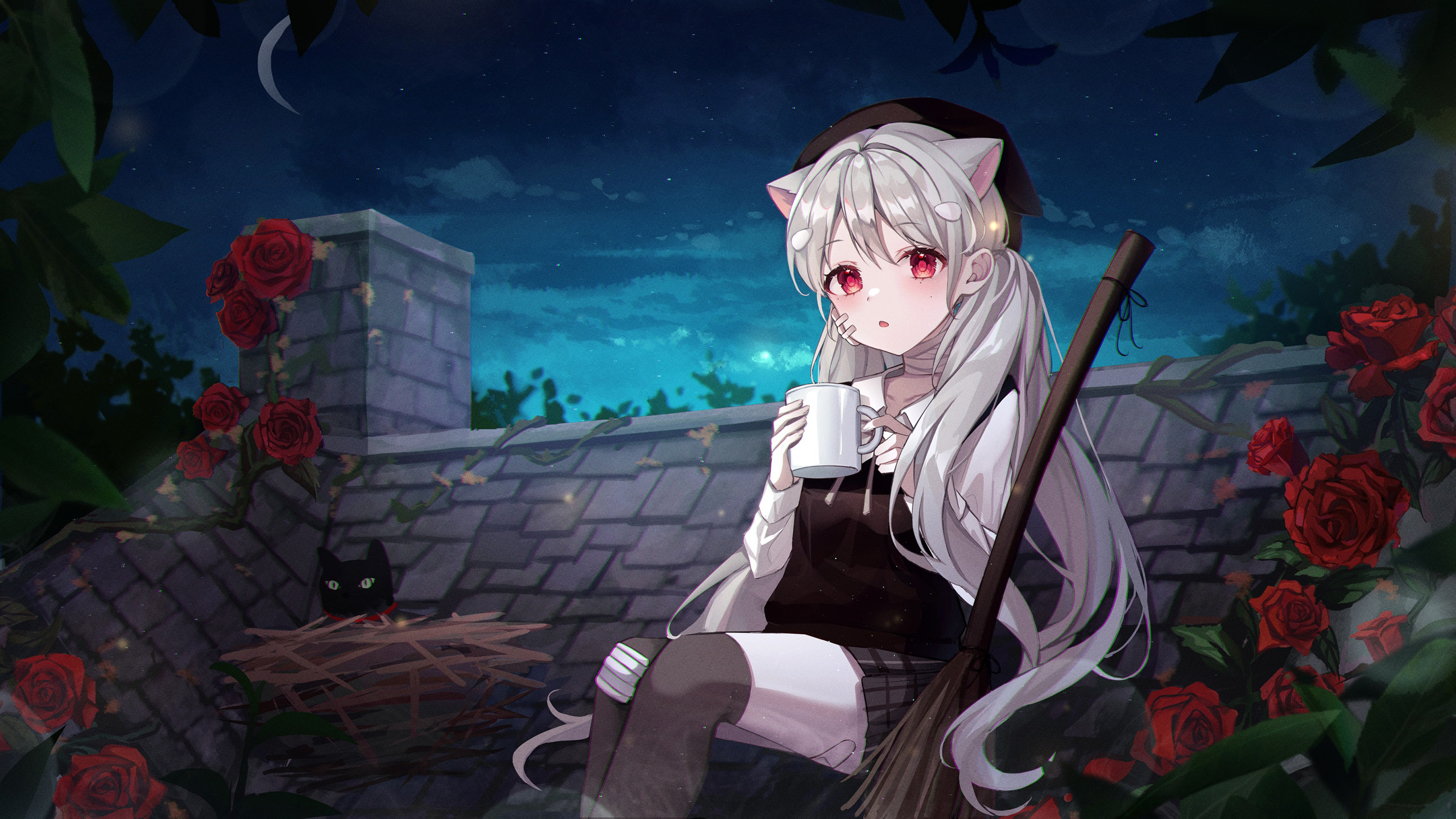 女巫,屋顶,玫瑰,扫帚,兽耳女孩