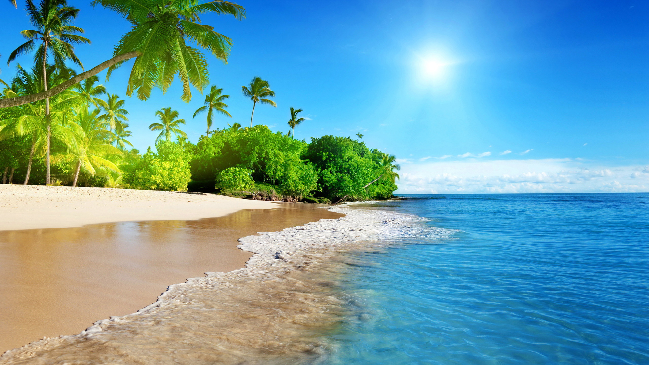 海洋天堂,椰树,海浪,赤道