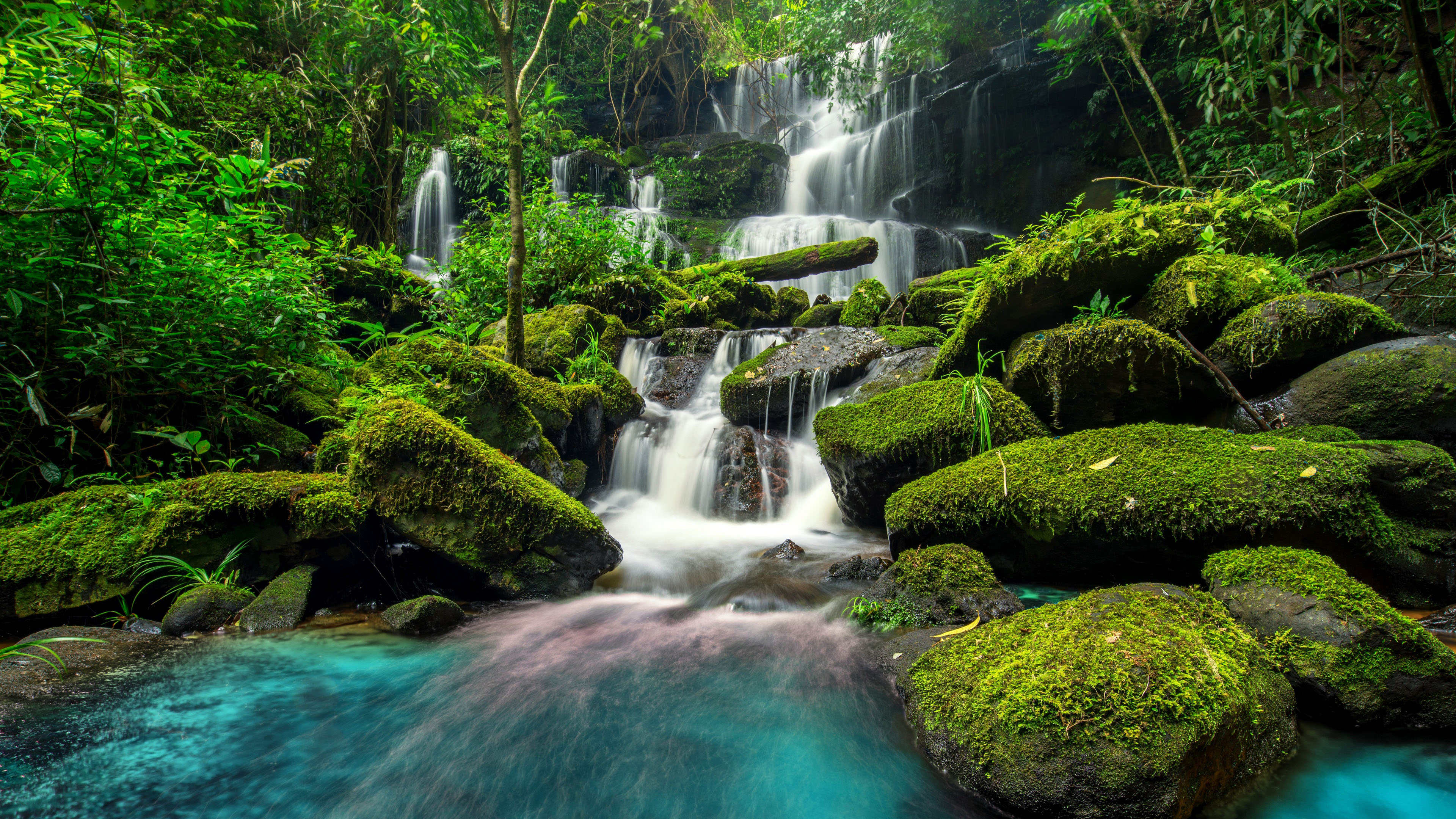 自然风光,瀑布,青苔,碧绿