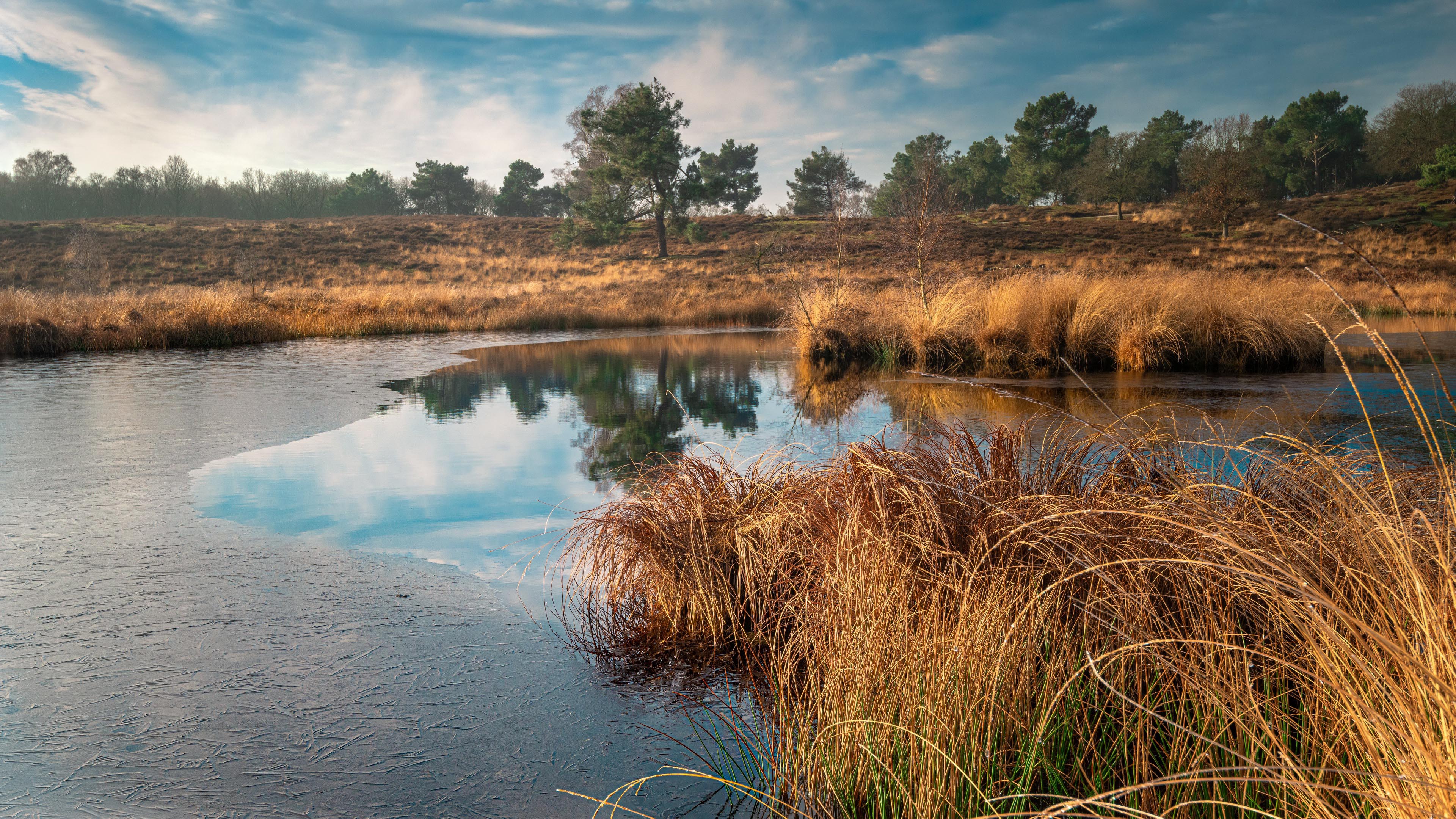 秋意正浓,芦苇,湖水