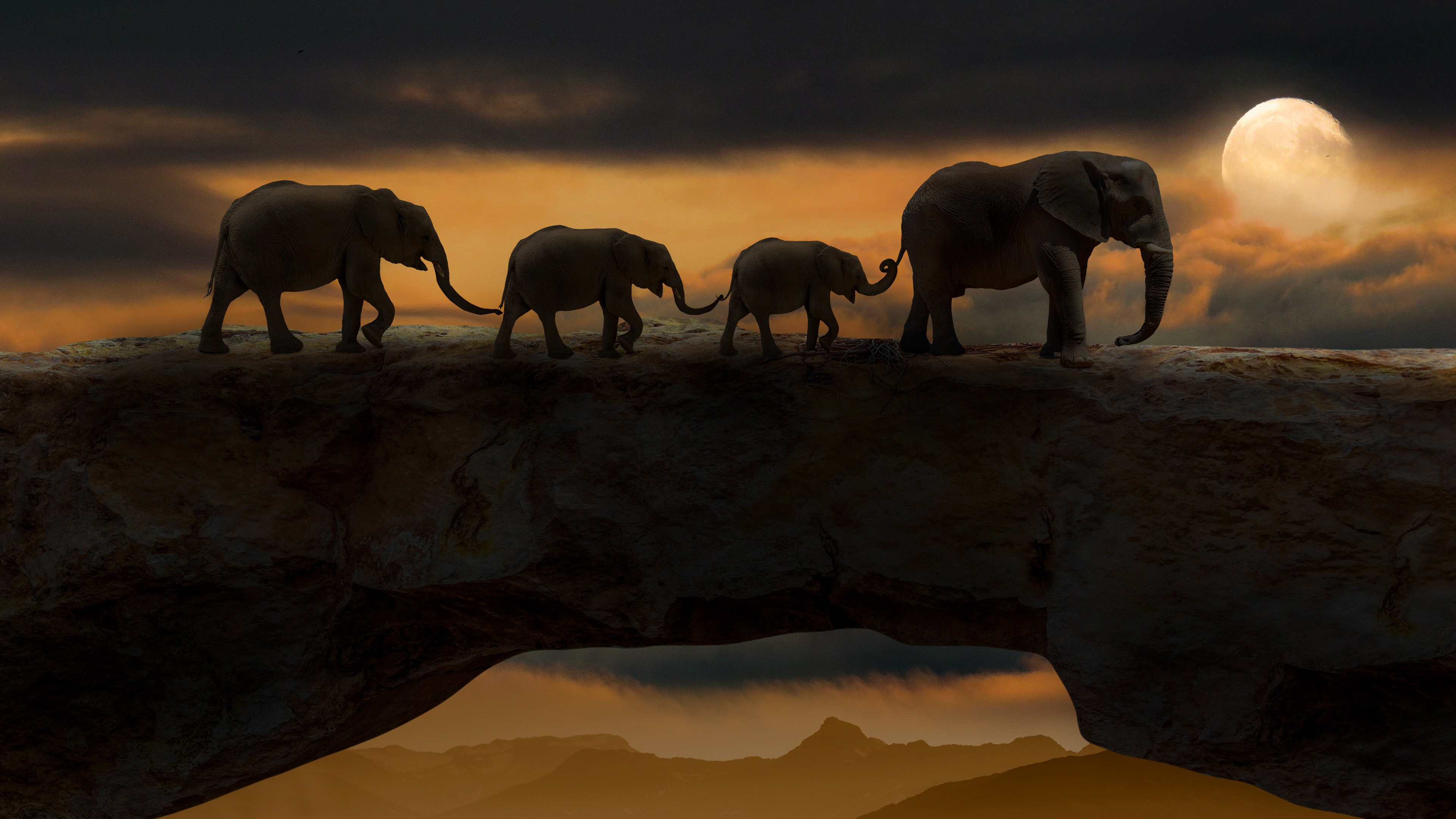 大象,象群,月亮,倒影