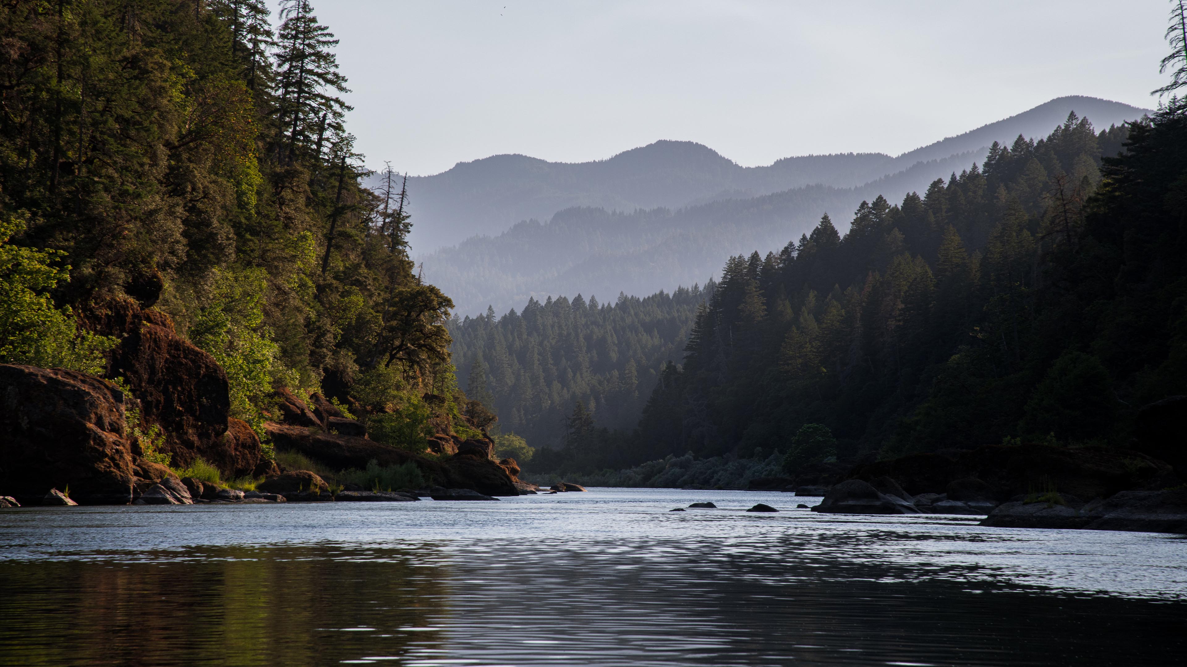 自然风光,河流,森林