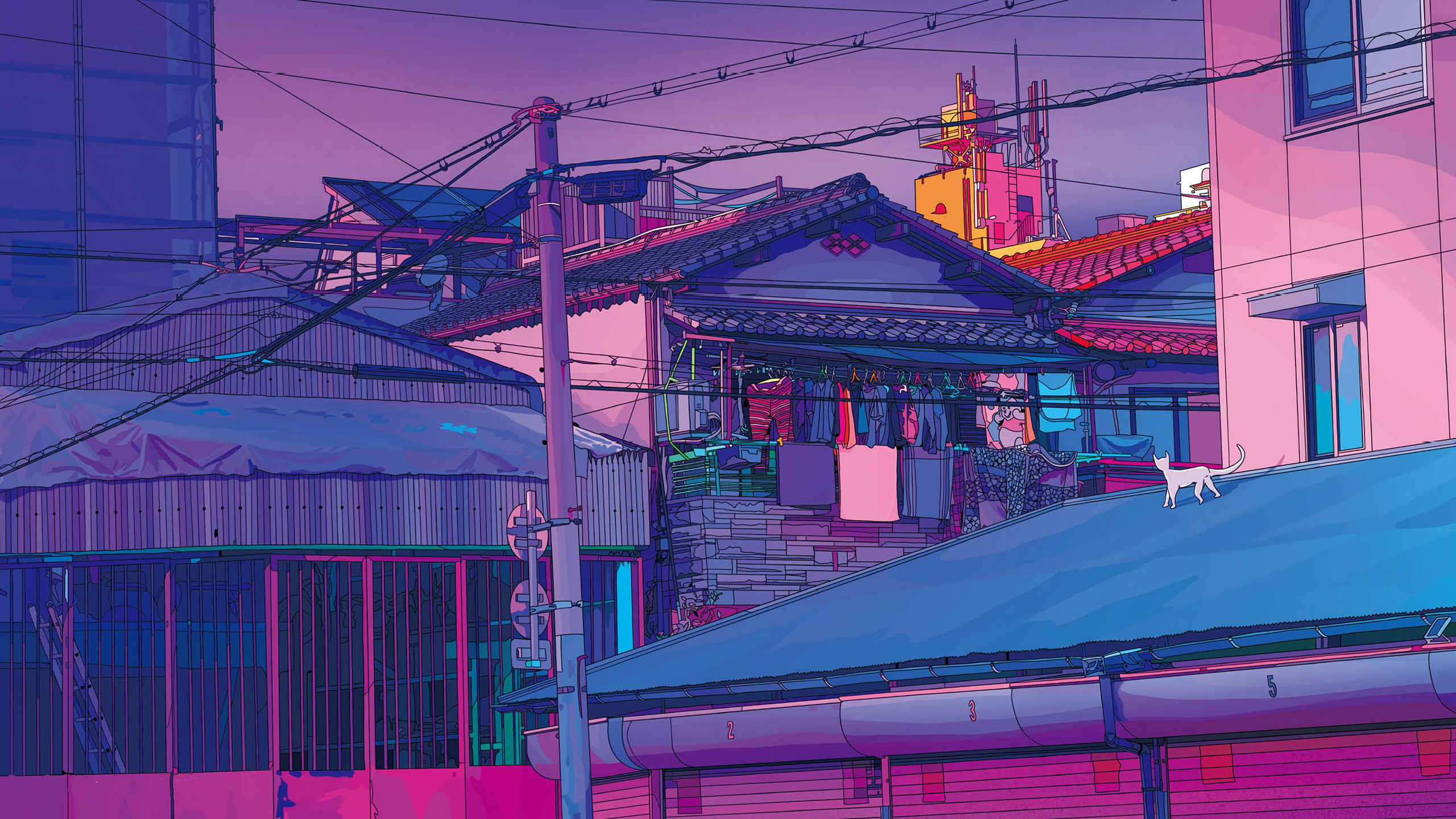 猫咪,屋顶,电线杆,接到一角