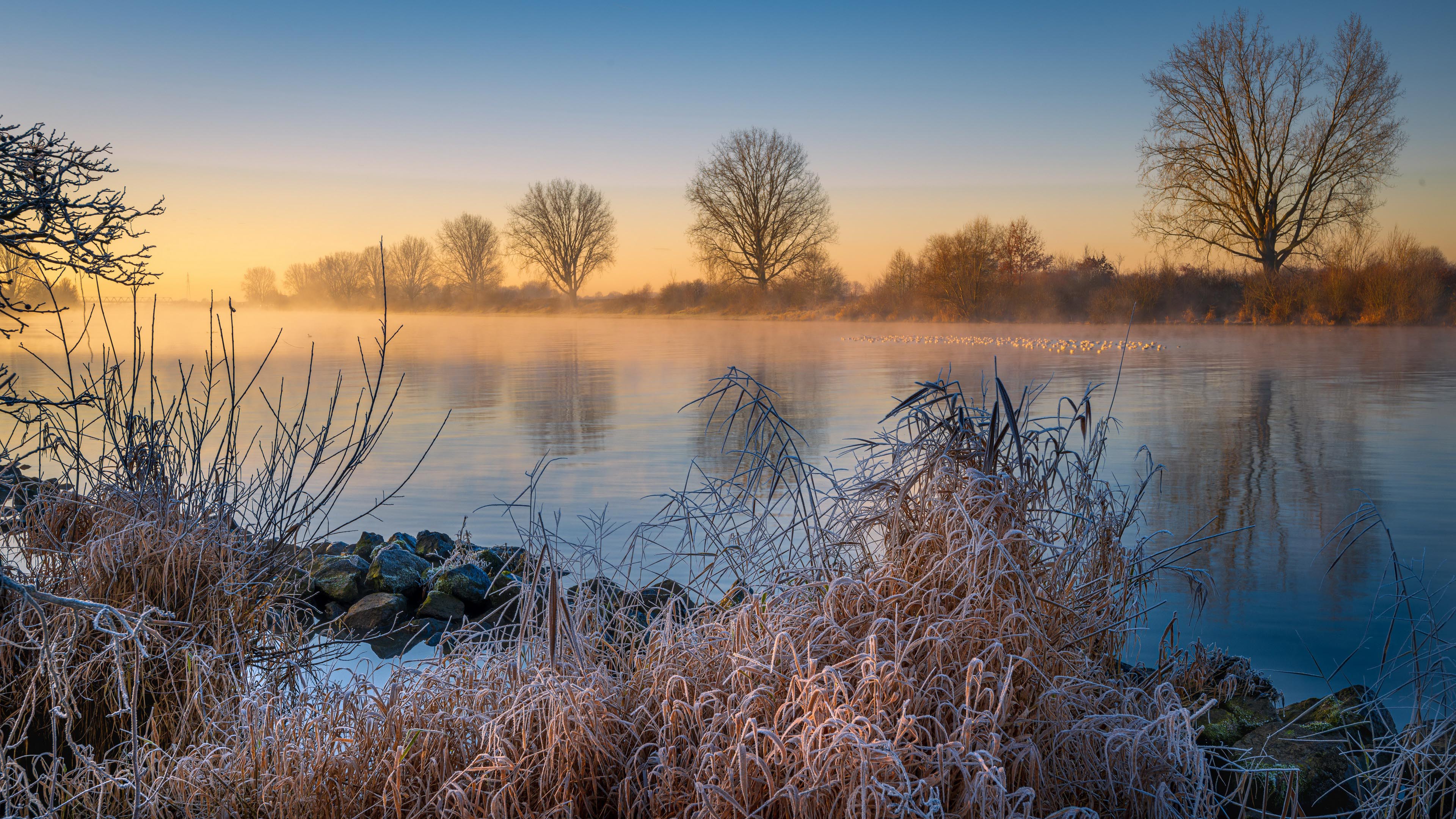 秋意正浓,江面,迷雾,草丛