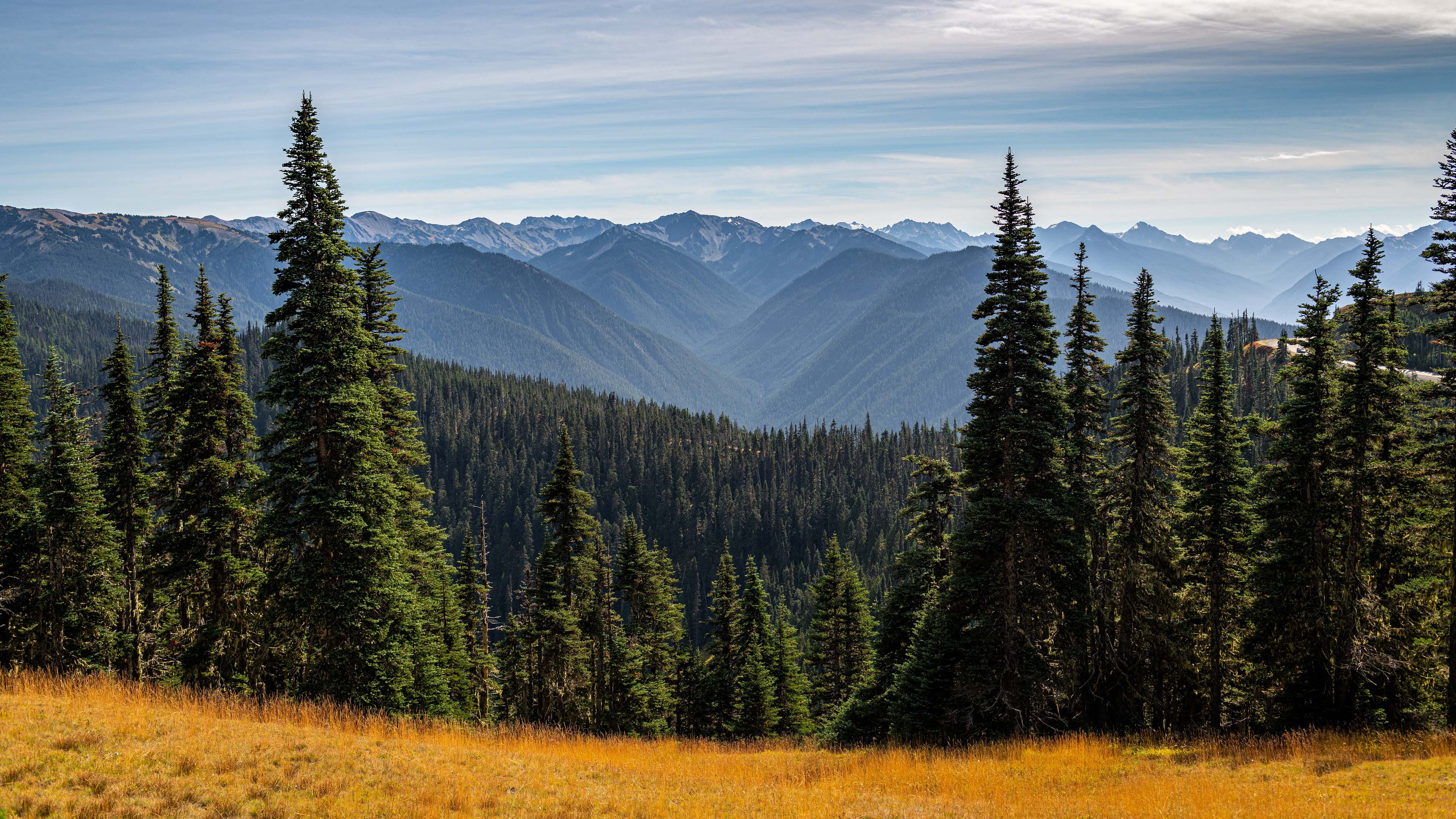 秋意正浓,草地,树林,山峰