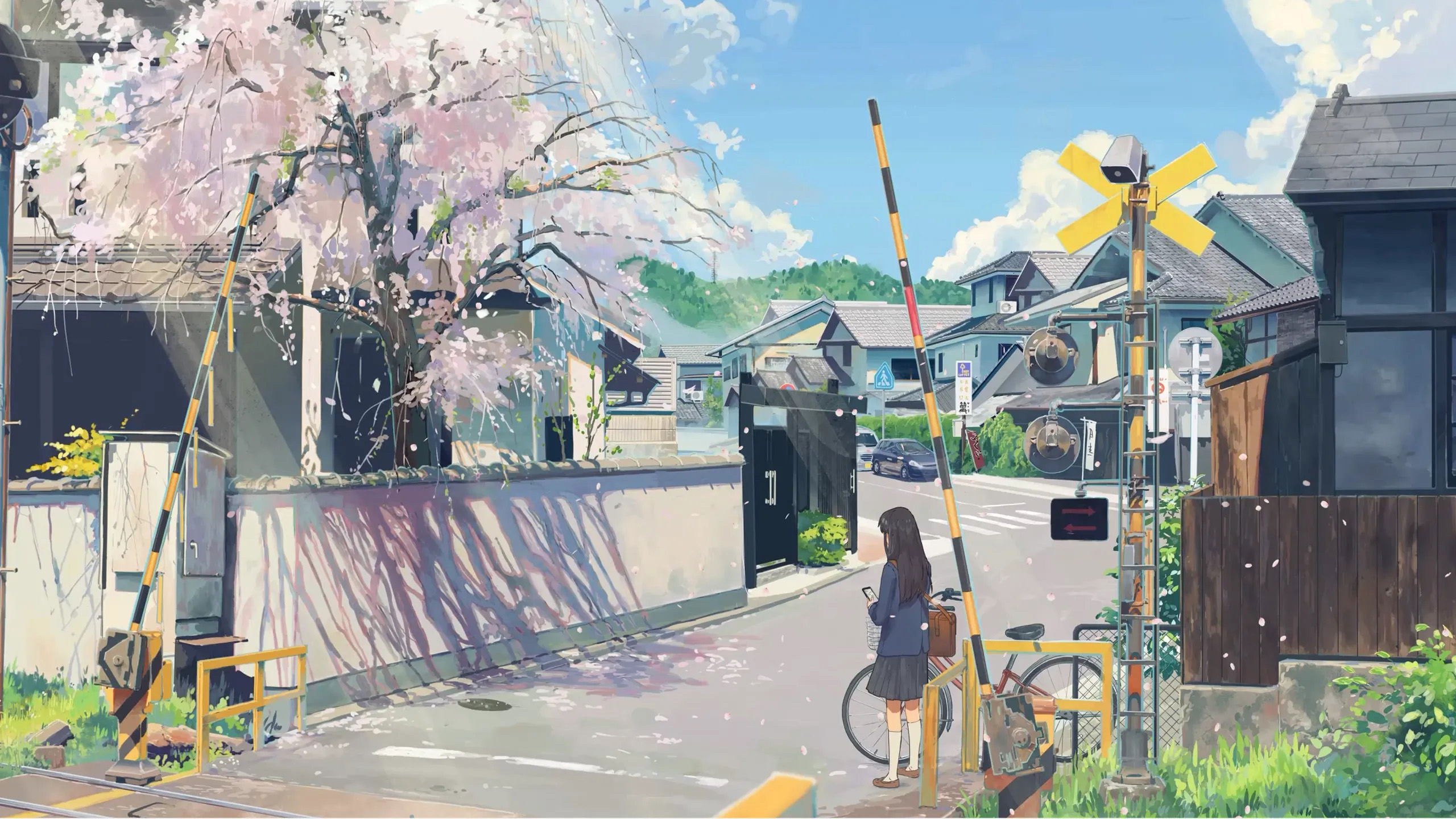 樱花街道,红绿灯,铁轨,小镇,自行车