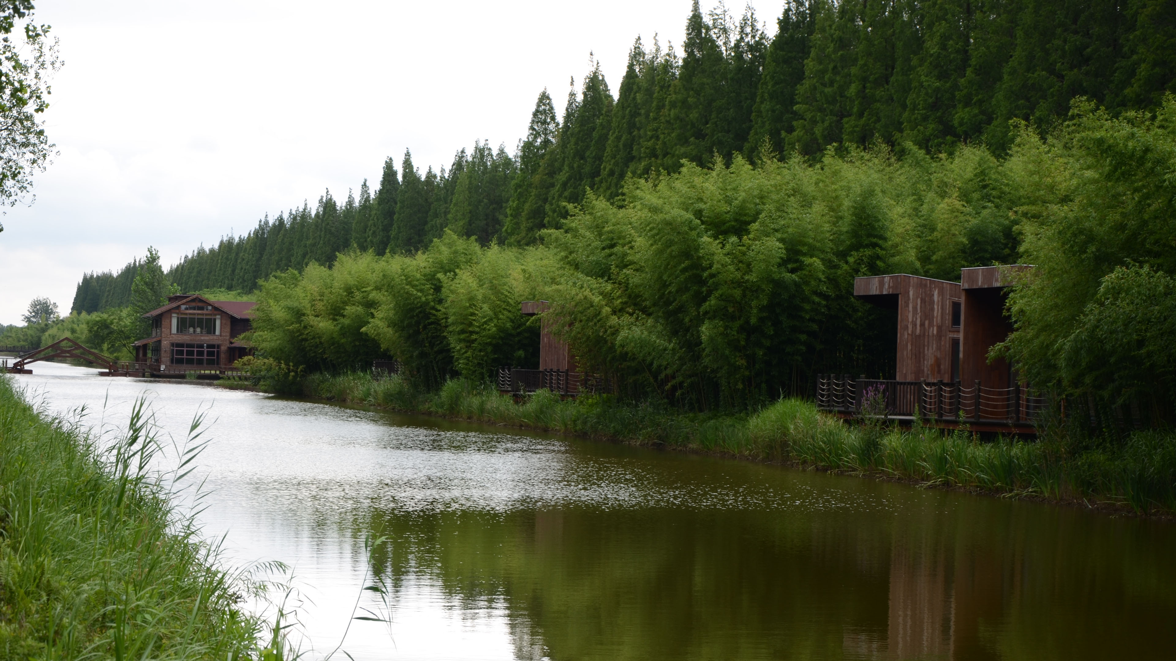 自然风光,河流,微波粼粼,,树林,倒影