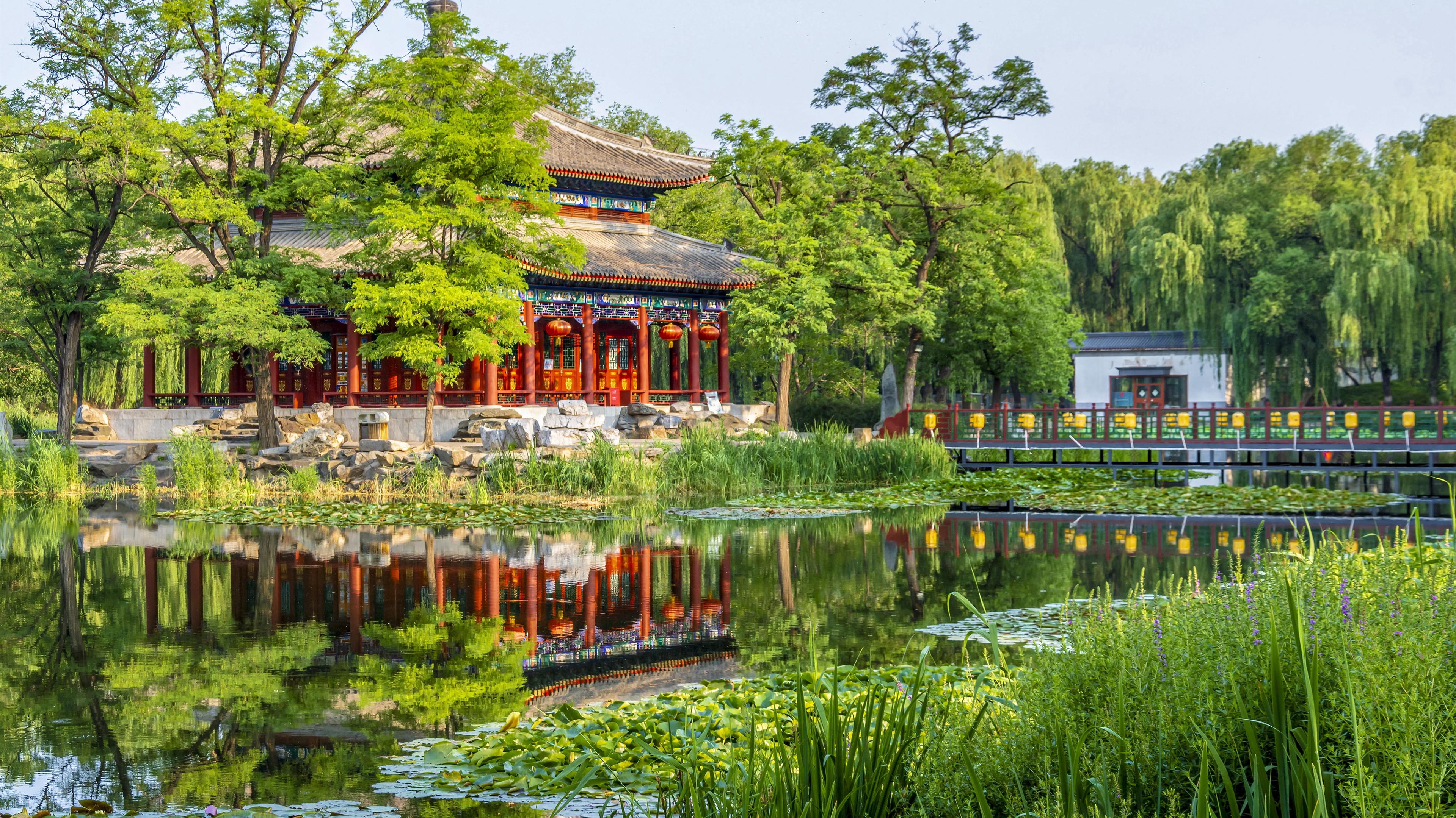 春意盎然,庭院,倒影,柳树