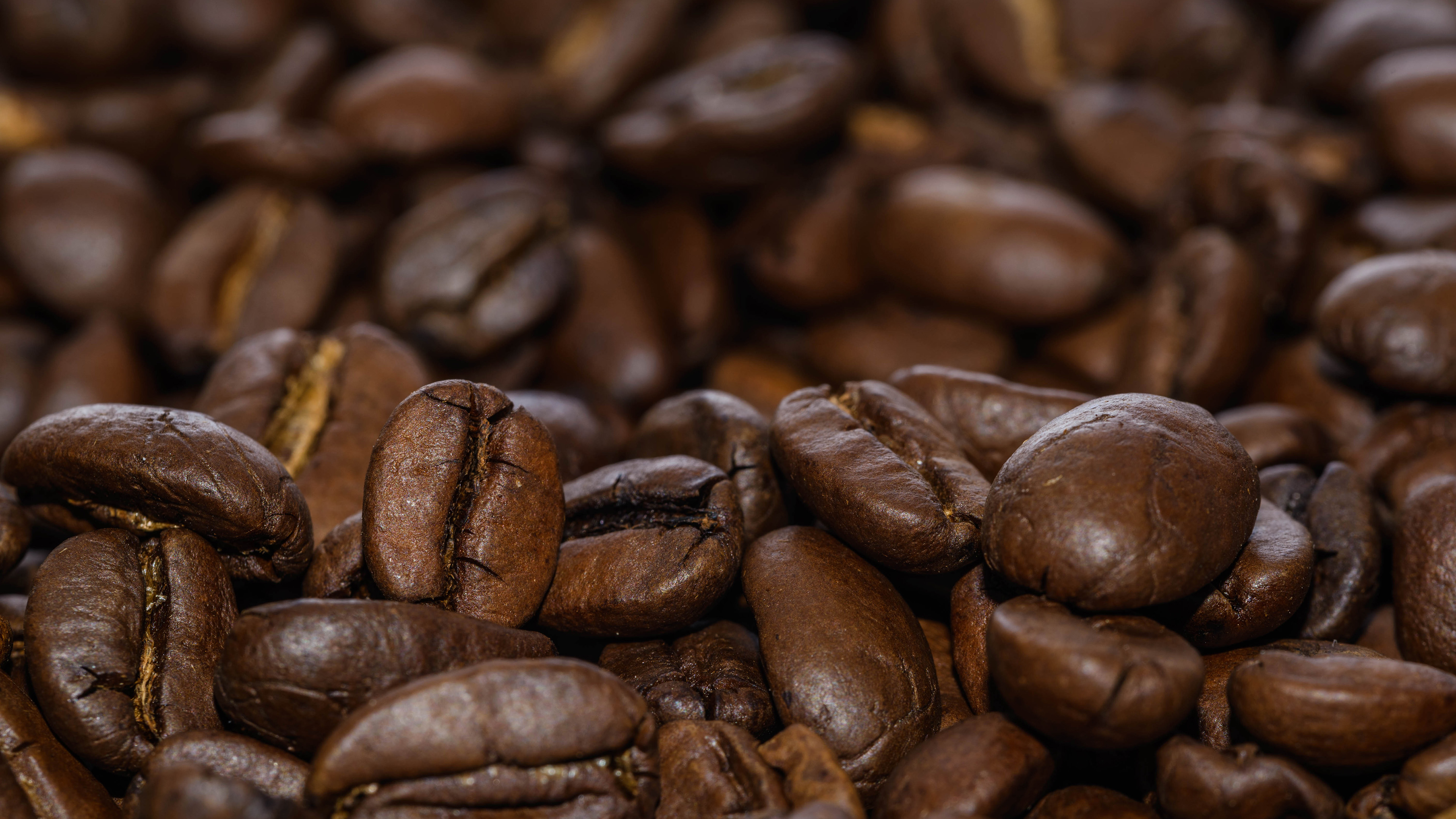 静物写真,可可豆