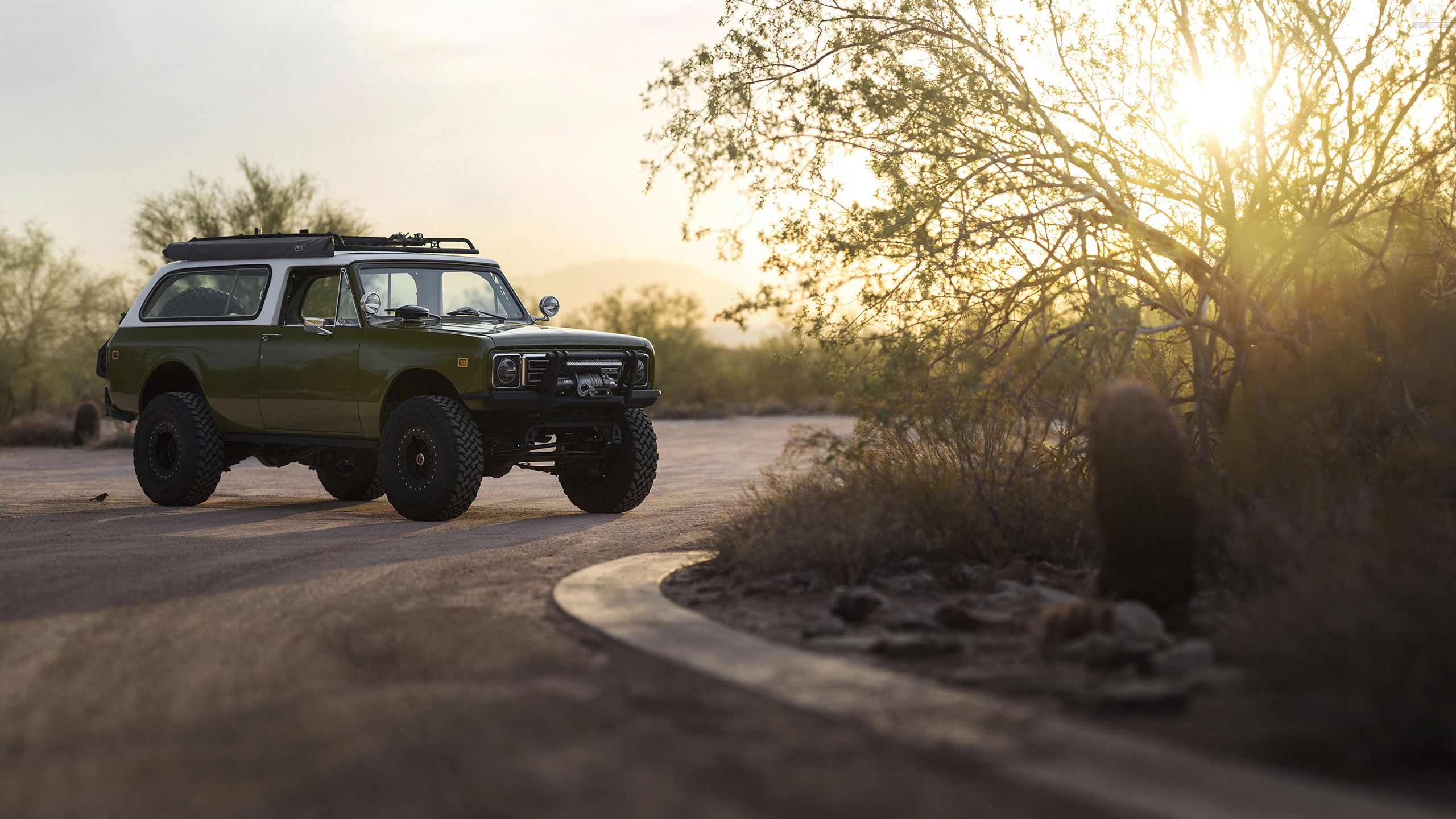 吉普车,日出,公路