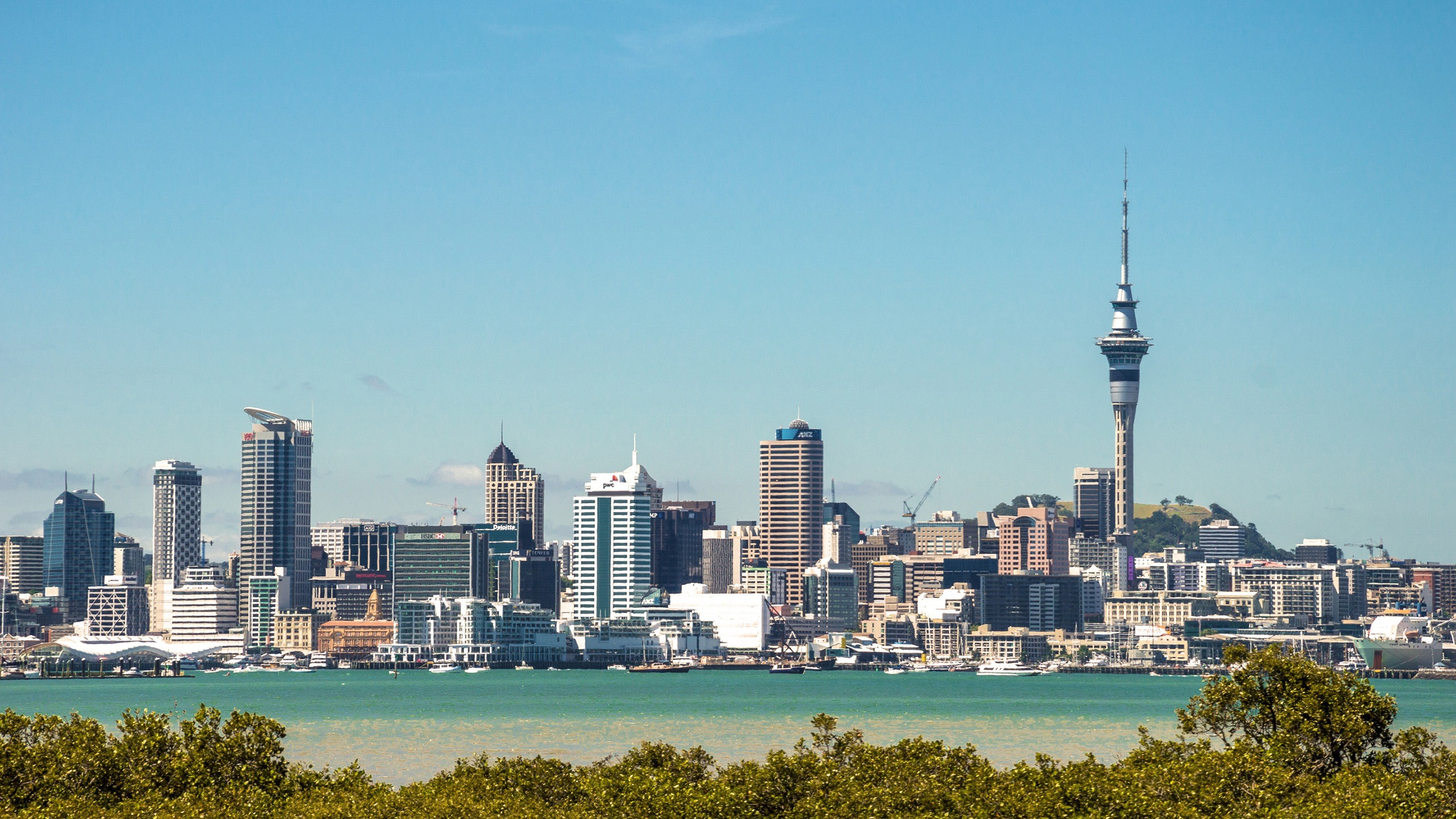 城市风光,海滨城市,建筑,壮观