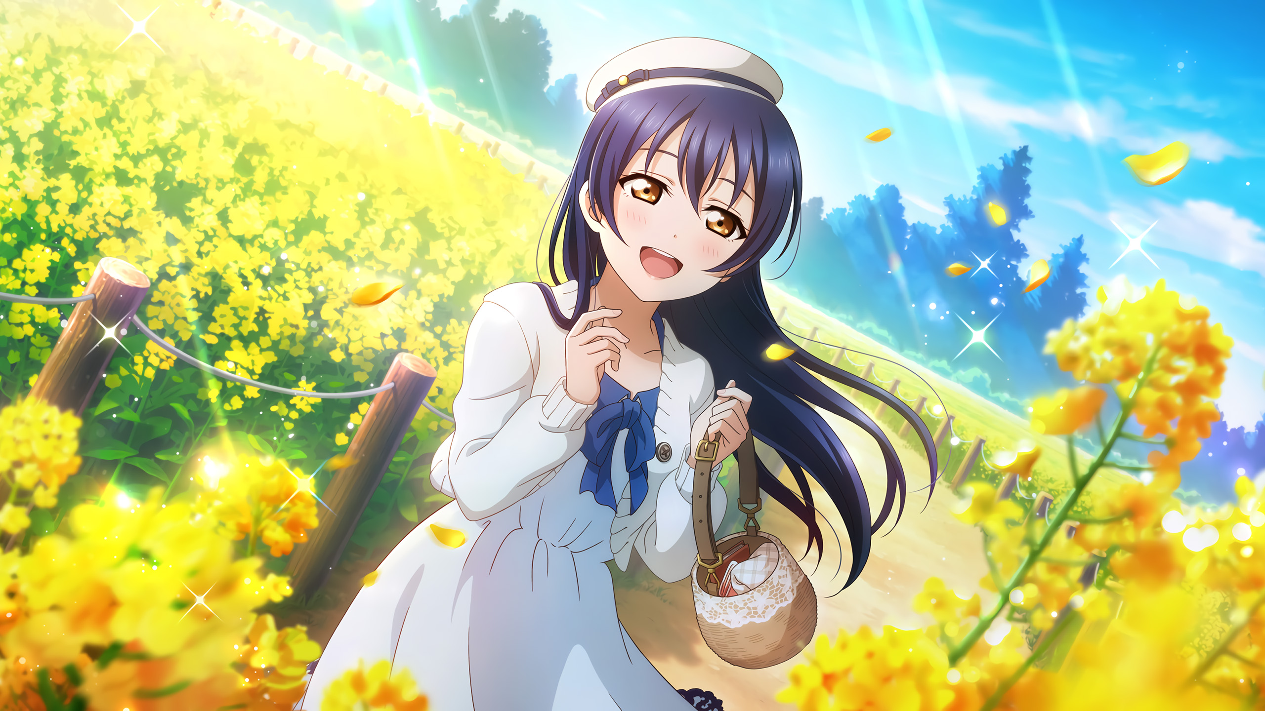 lovelive,油菜花,春天,阳光