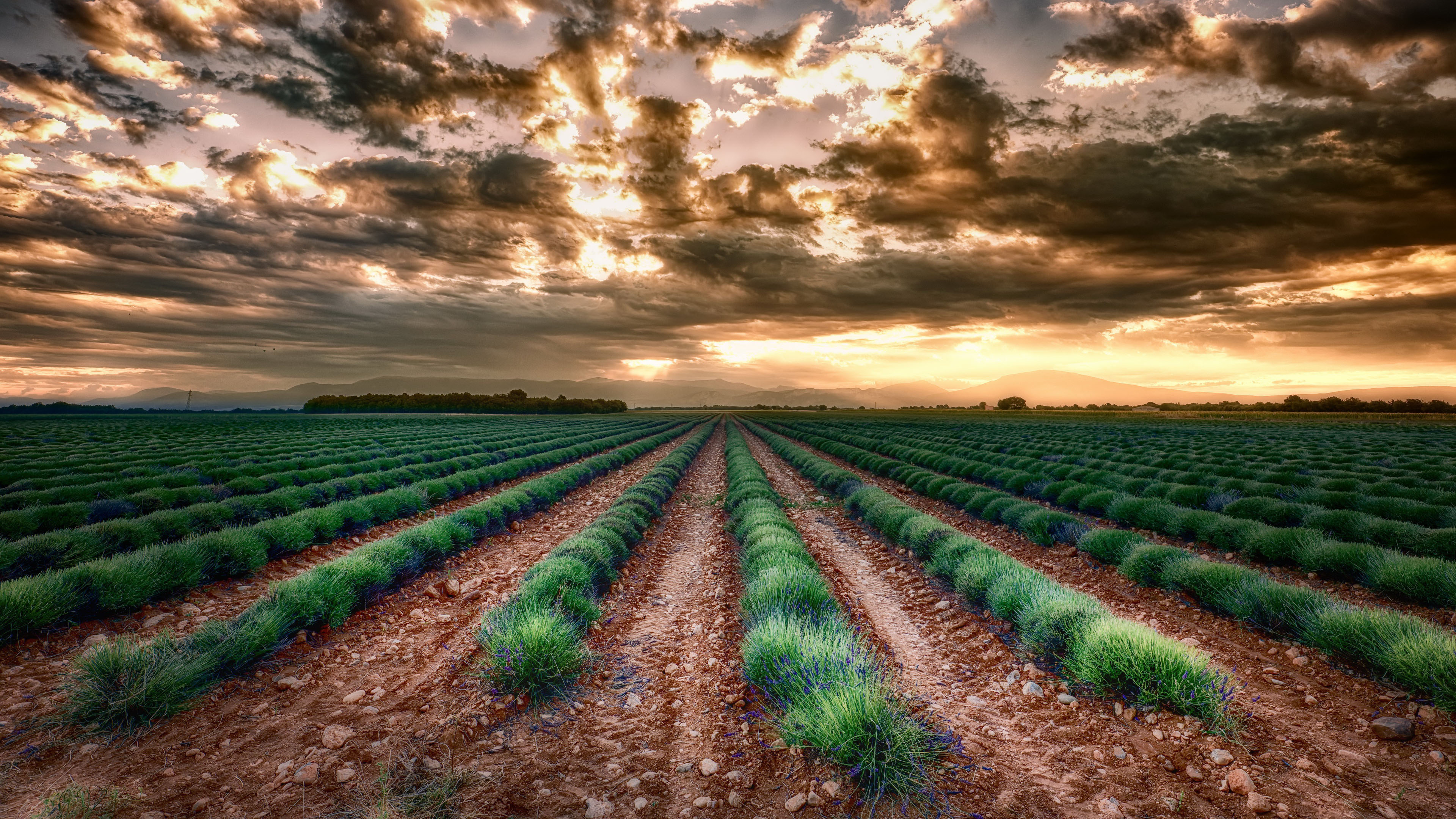 落日余晖,庄园,乌云,云彩