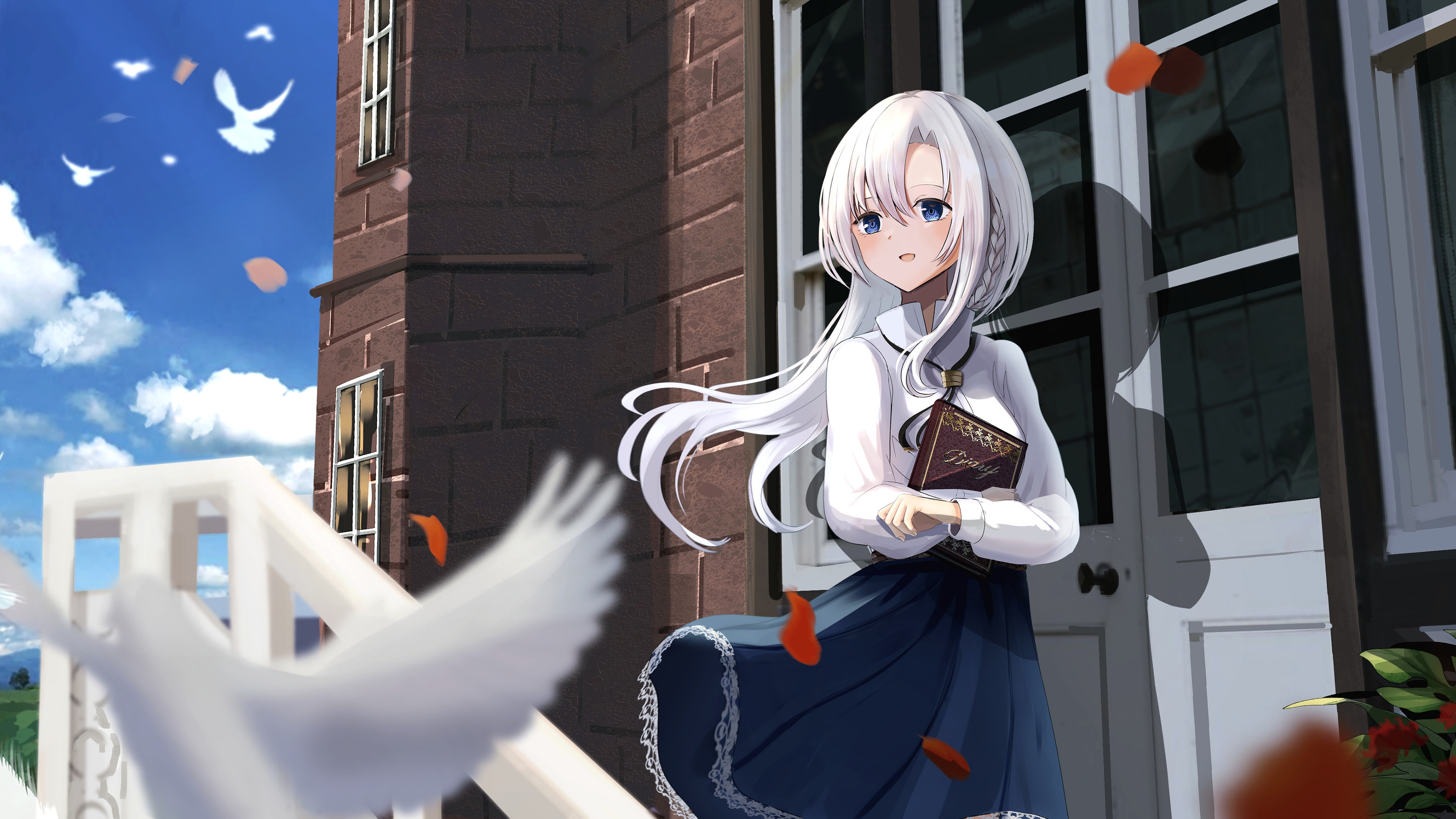 白鸽,白发,图书馆,秋风