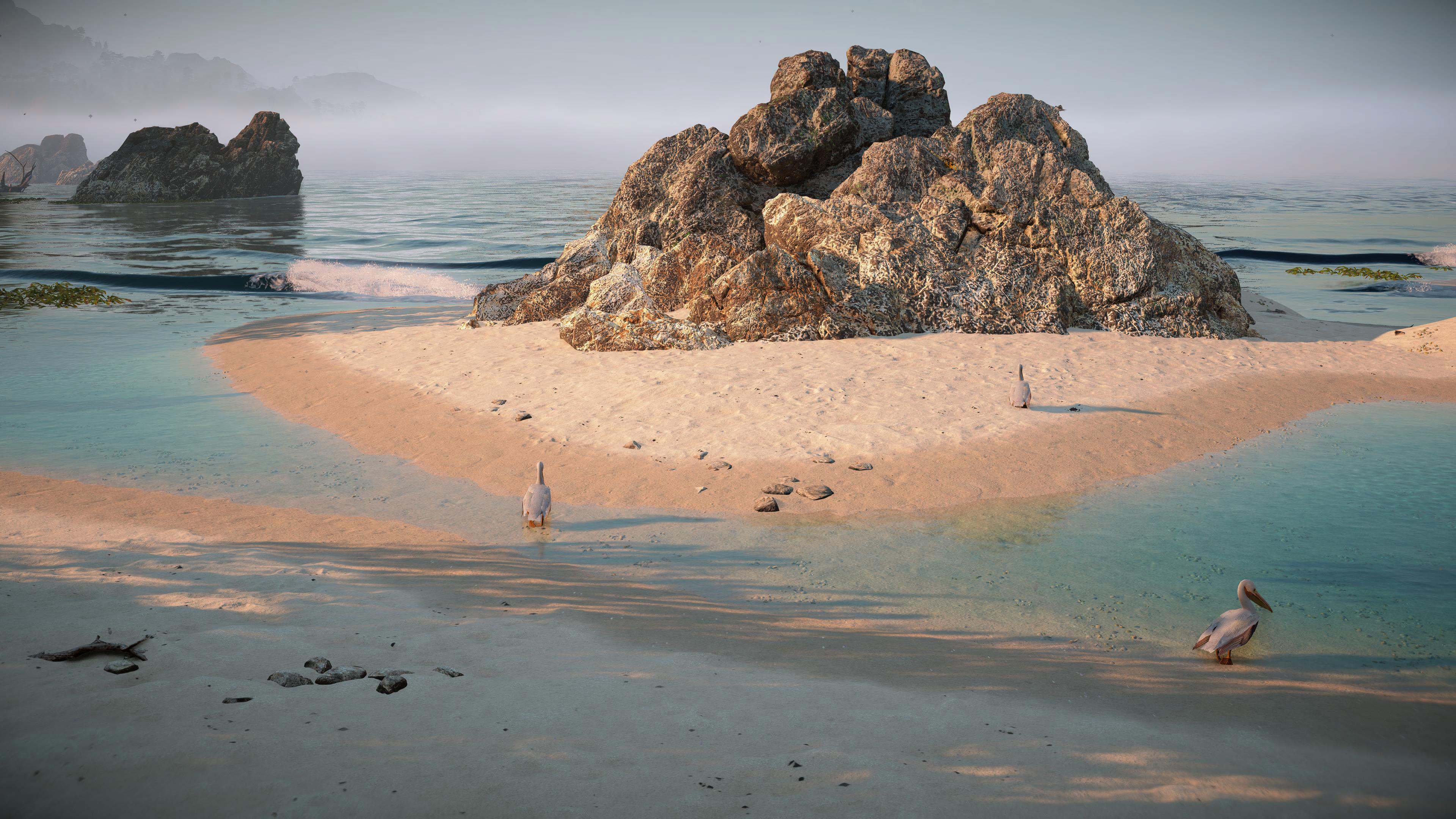 海洋天堂,沙滩,礁石,海鸟