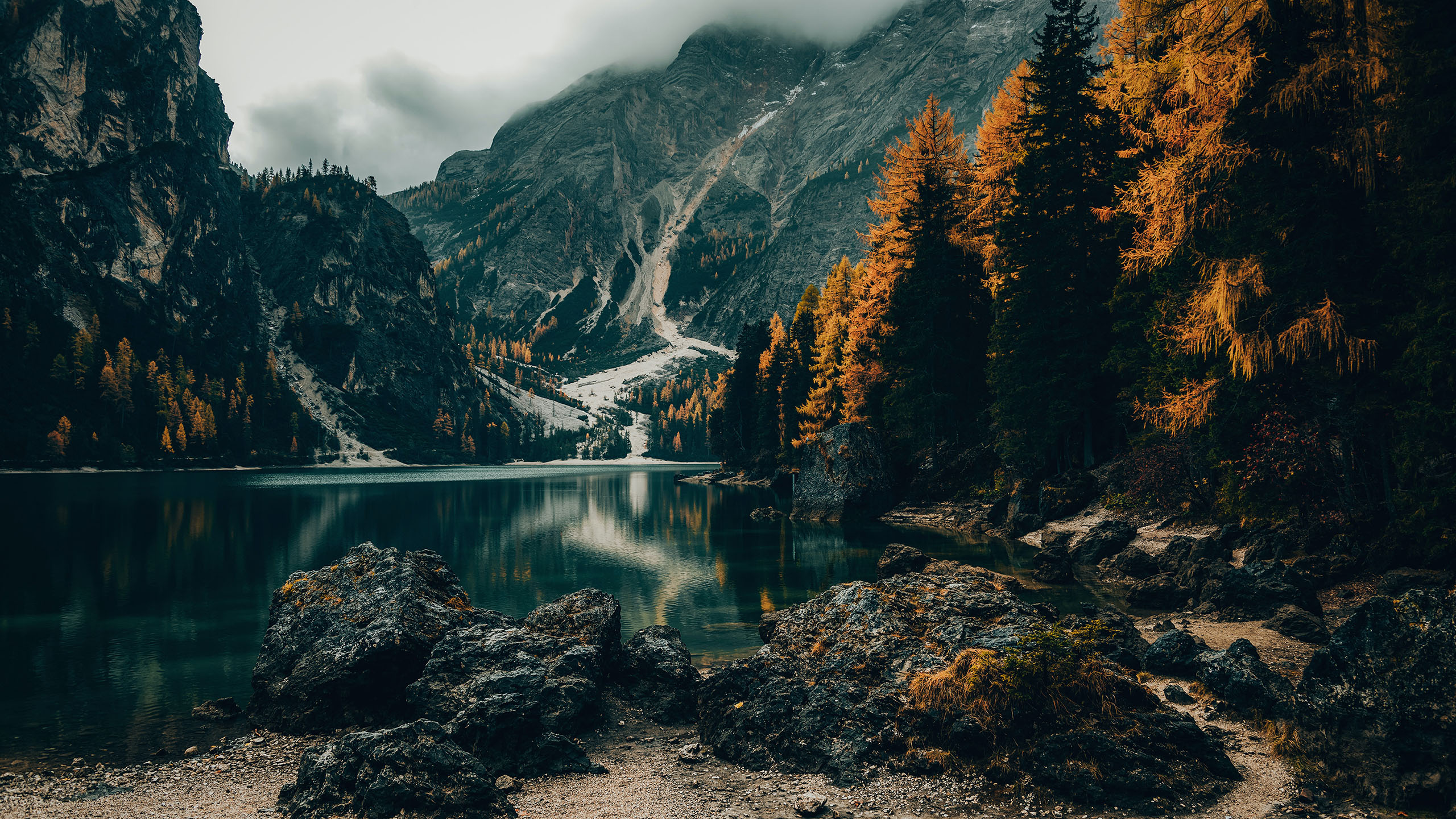 自然风光,山谷,雪山,树林