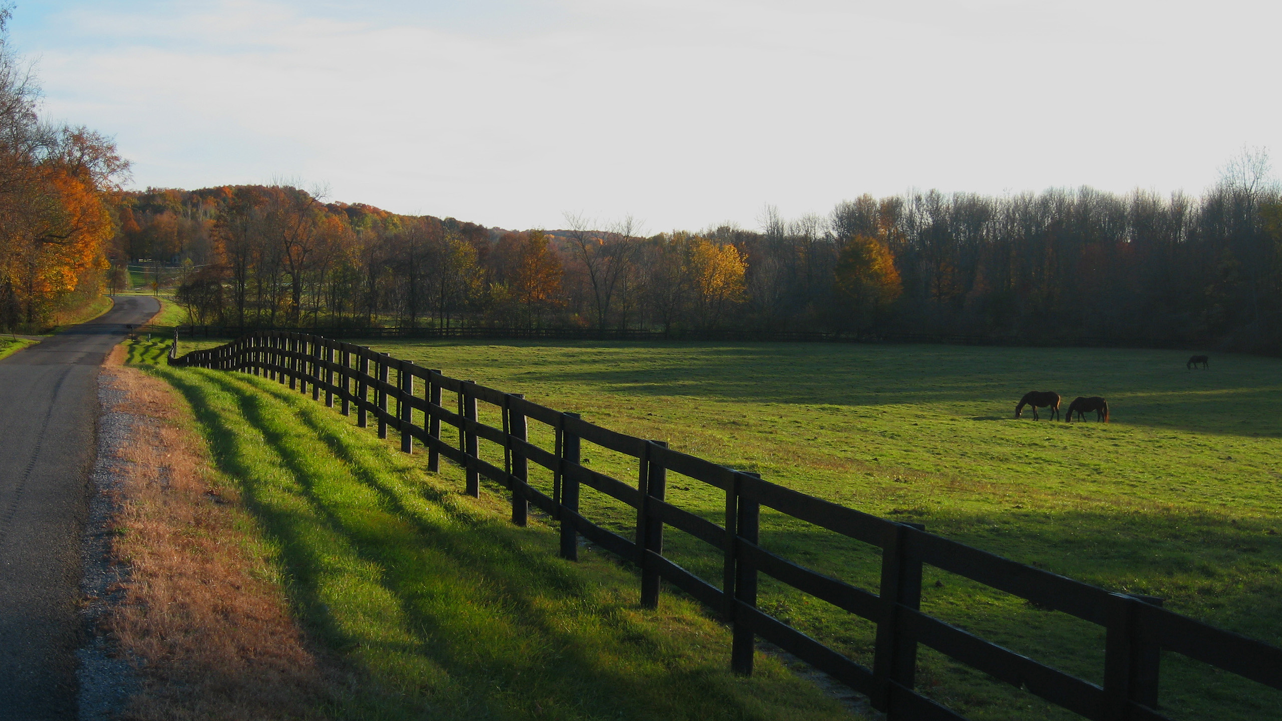 自然风光,栅栏,草地,庄园