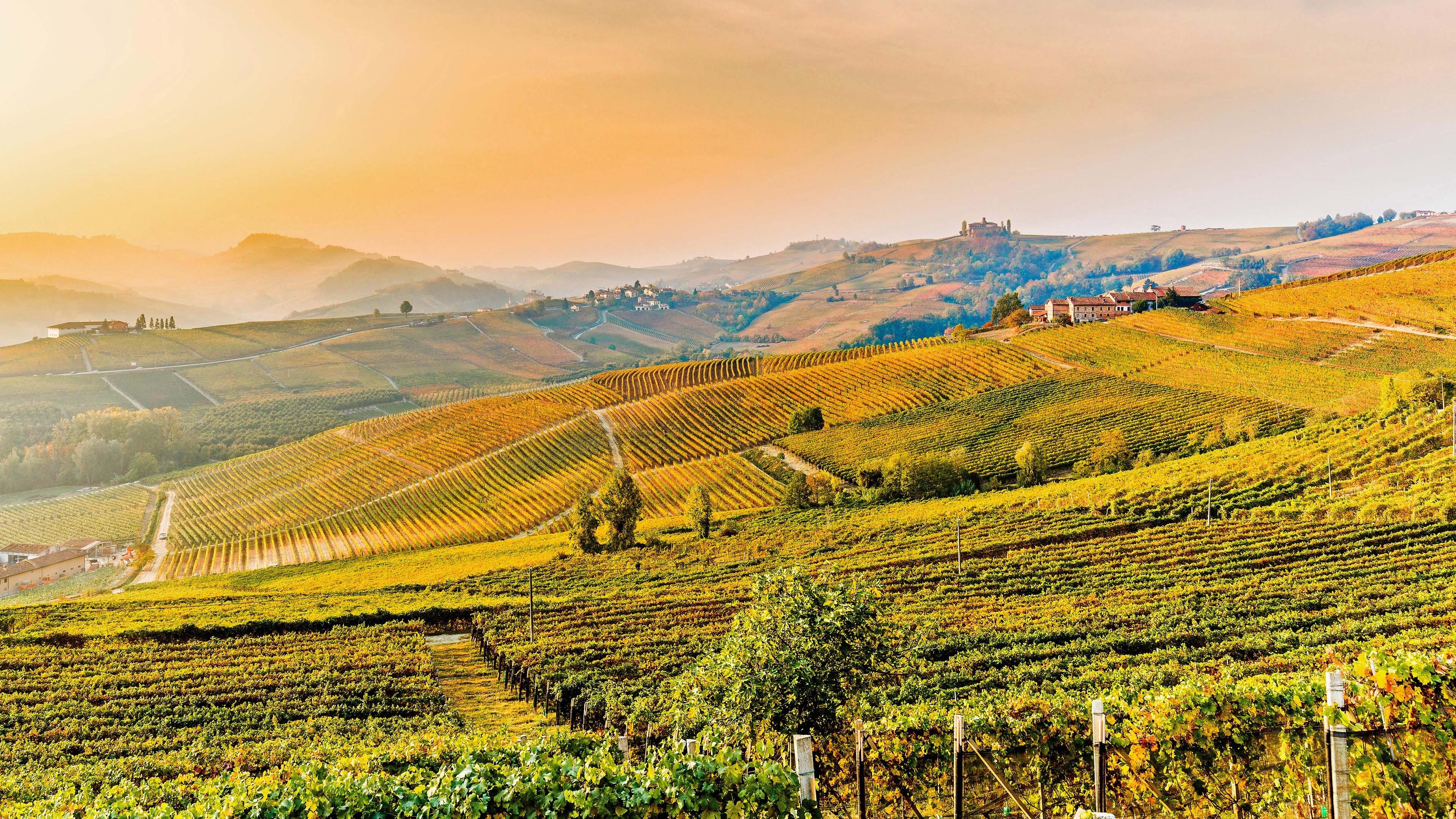 秋意正浓,山坡,田园