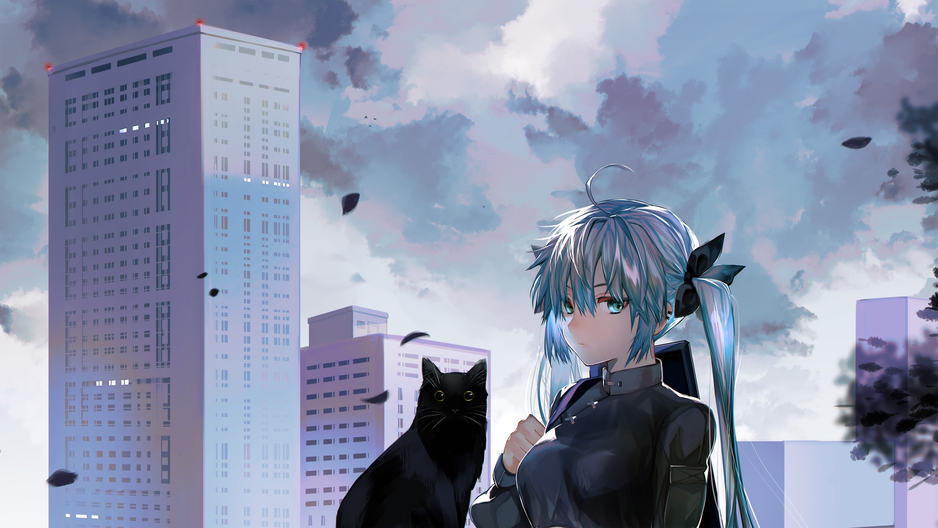 初音,黑猫咪,城市