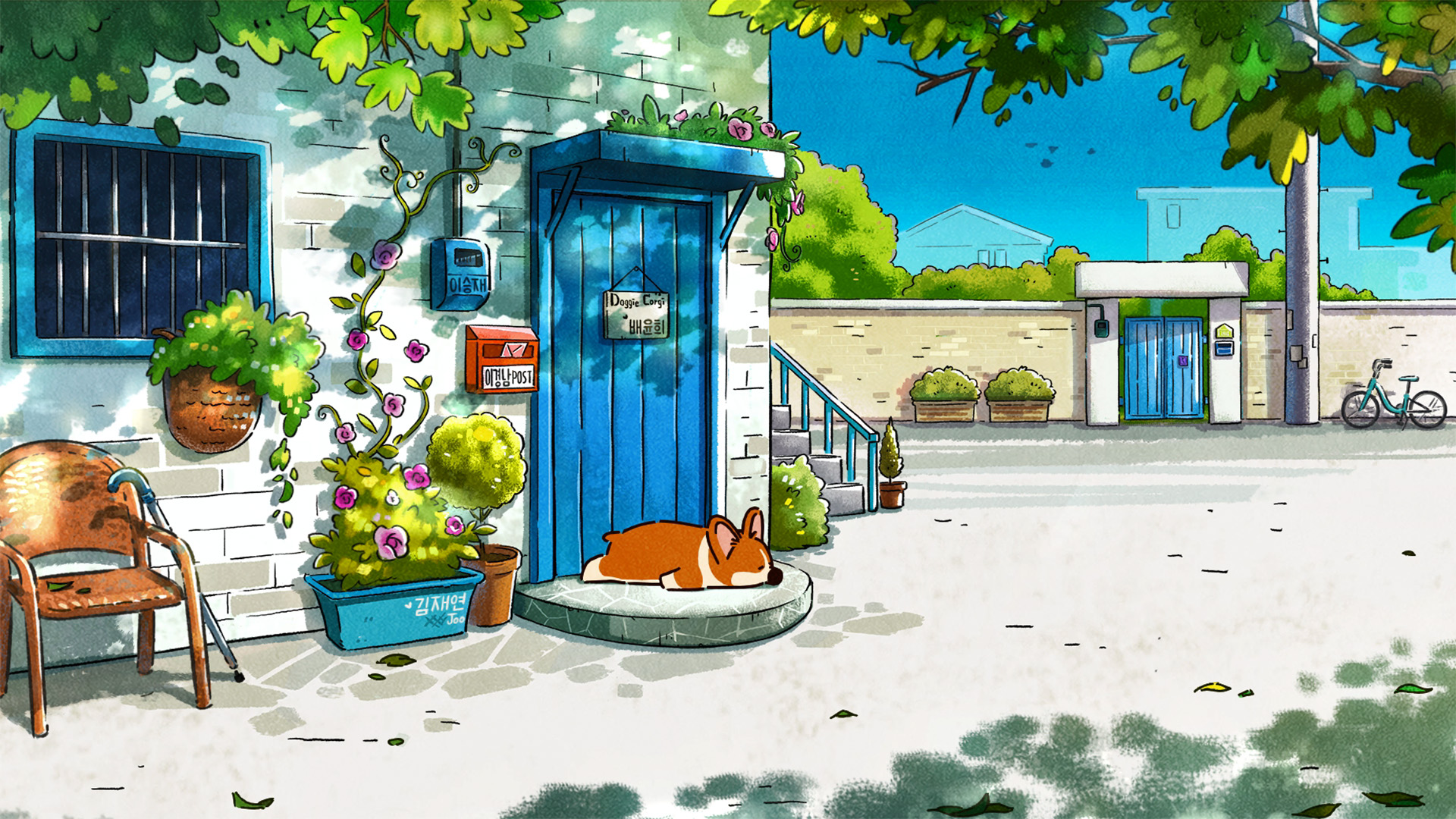 柯基,午后阳光,休闲时光