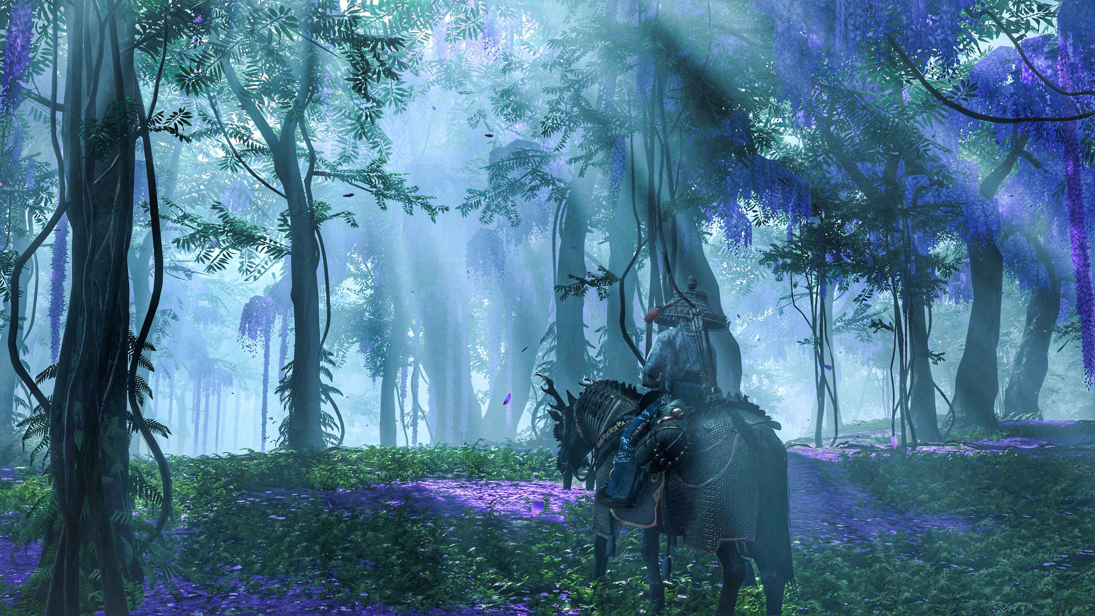 武士,树林,草地,阳光