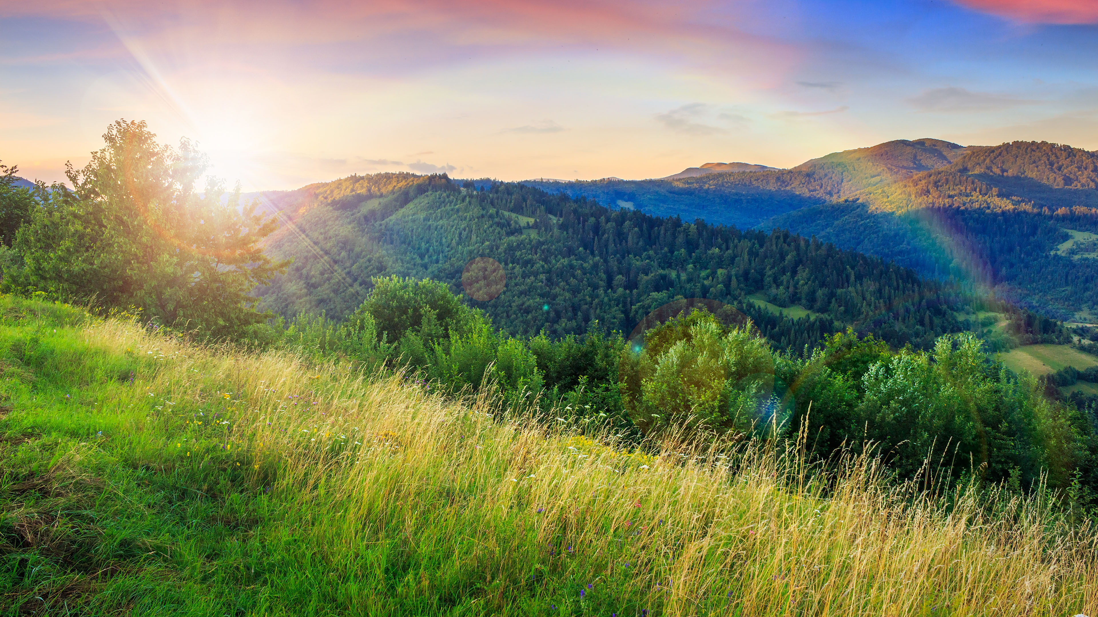 春意盎然,山坡,阳光,草地
