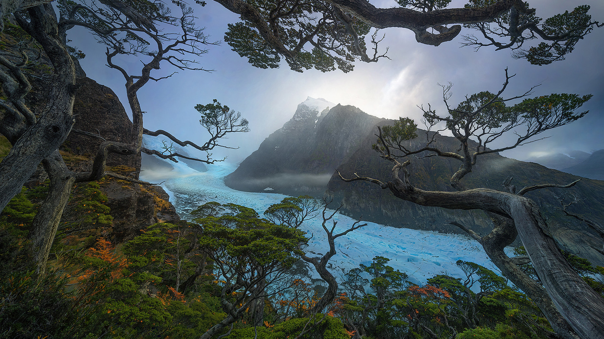 自然风光,松树,海岛,日出