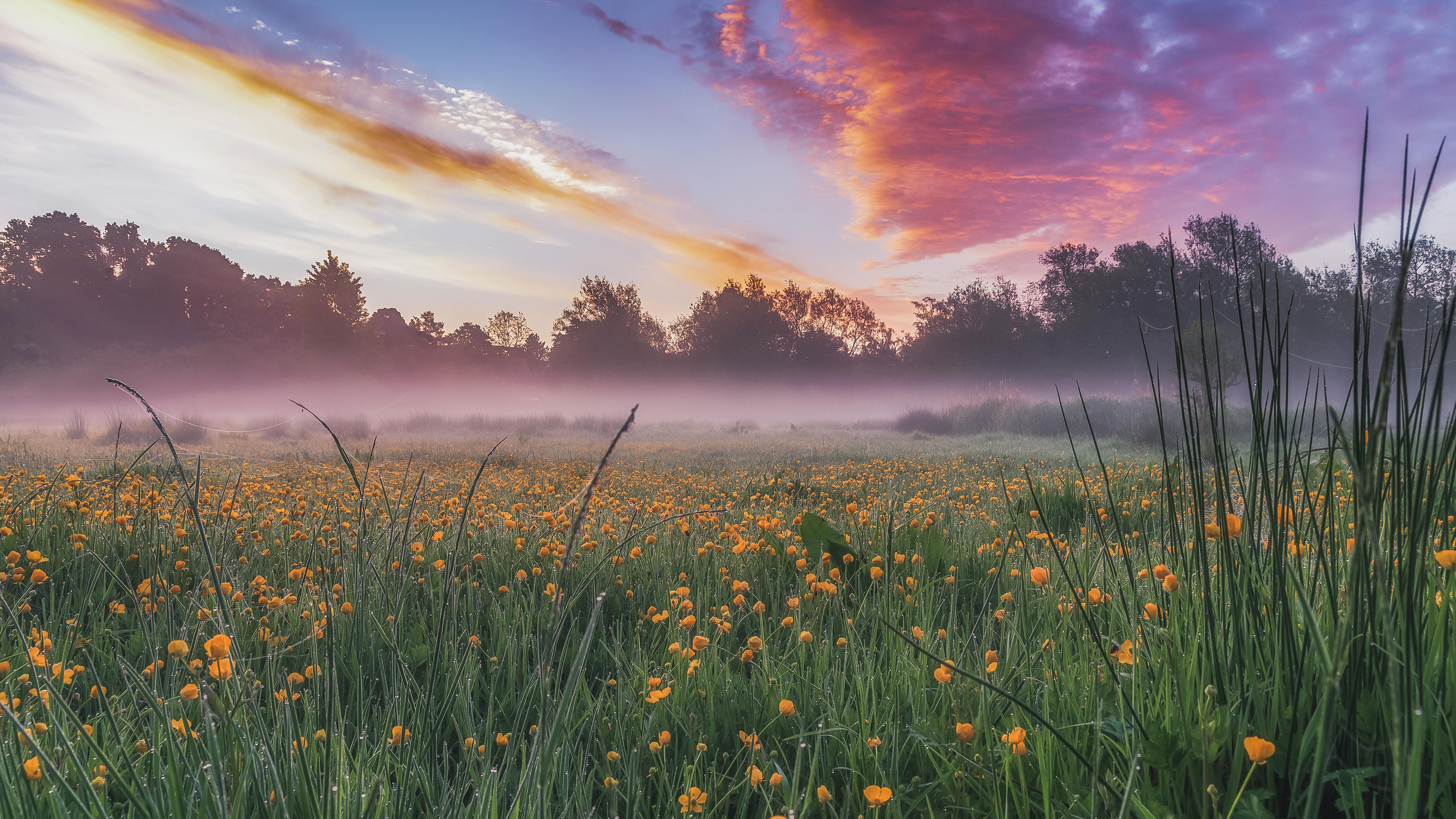 奇幻梦境,花海,火烧云