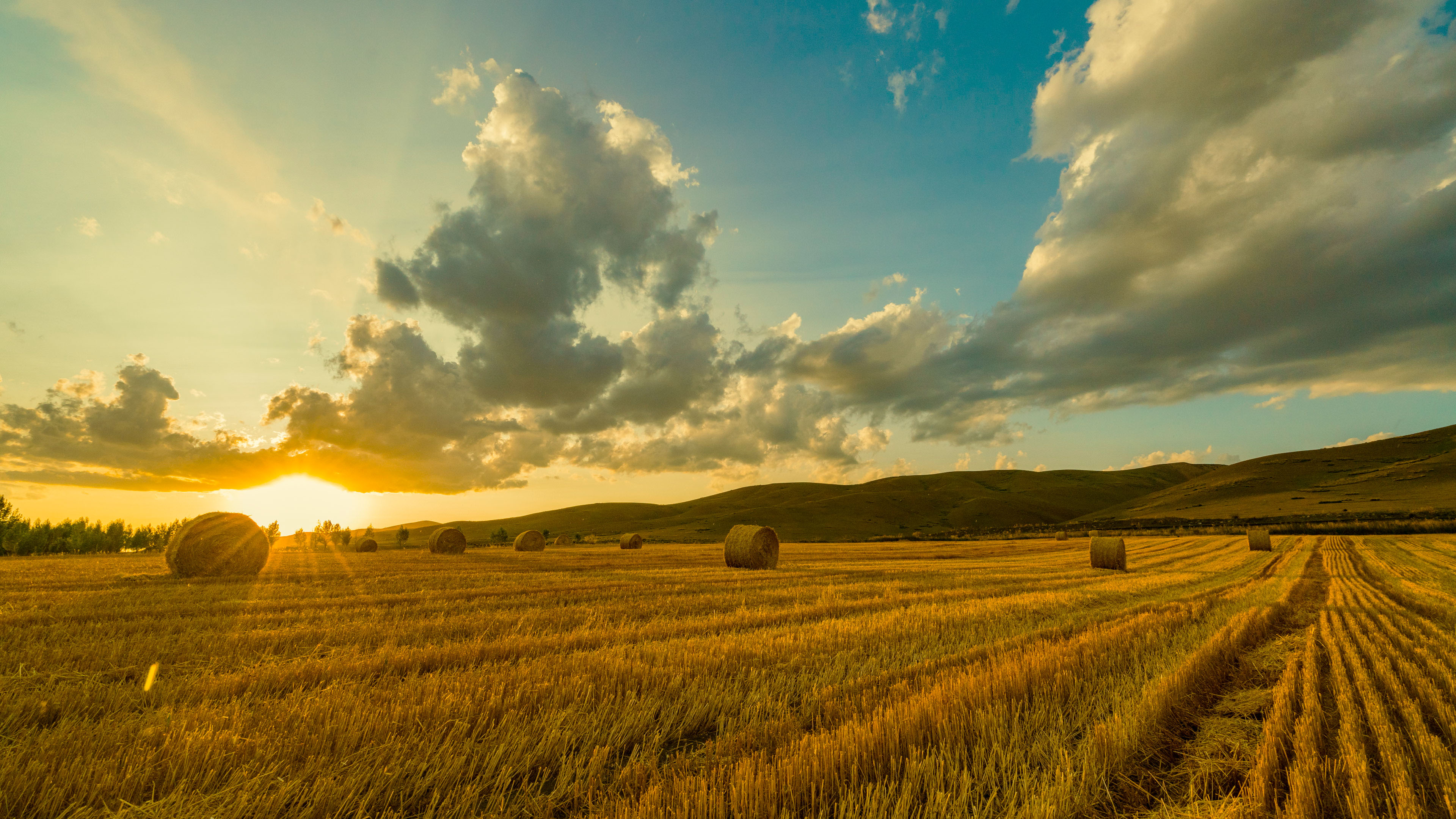 秋意正浓,秋收,麦田,收货,晚霞