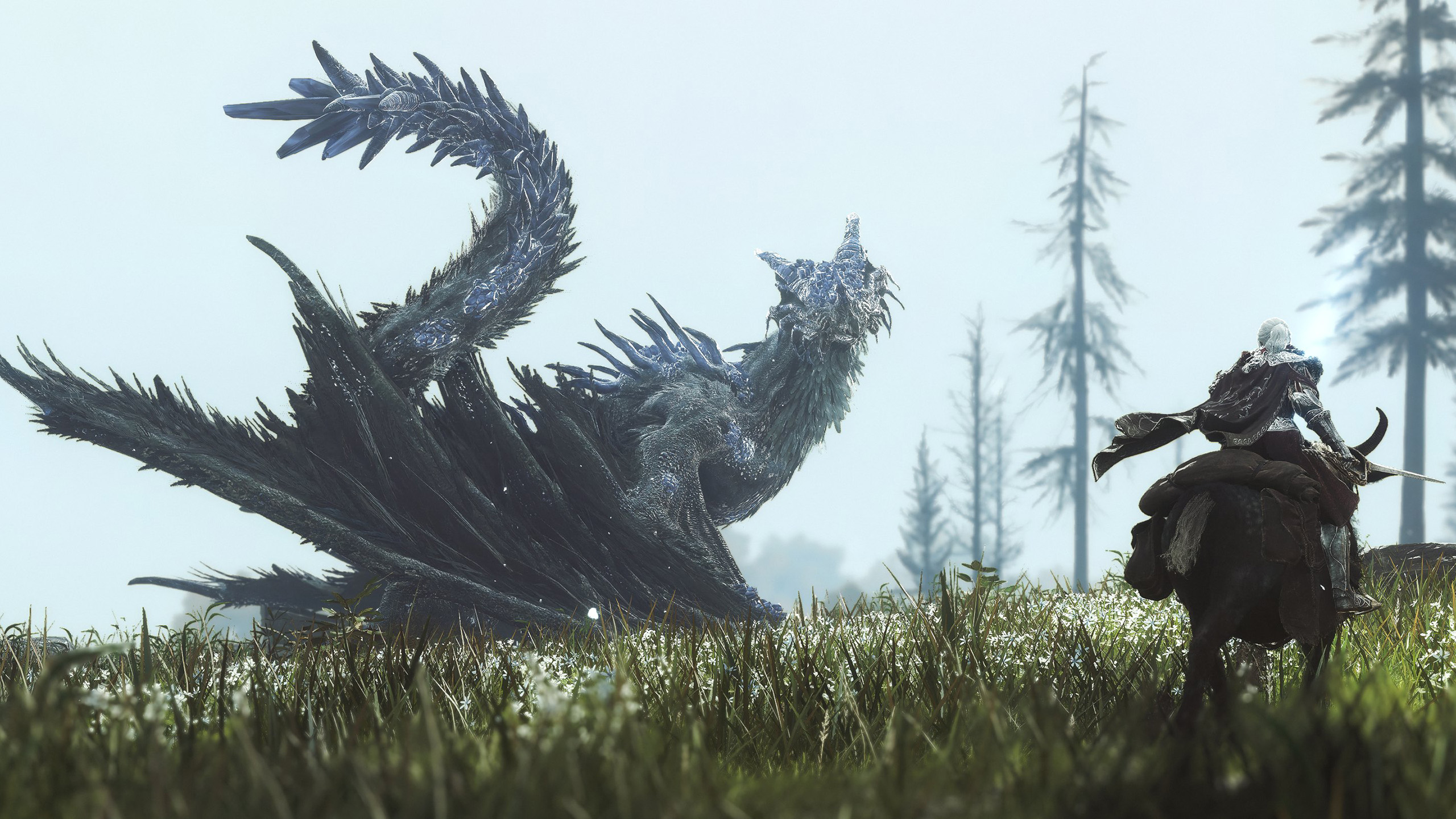 主机游戏,艾尔登,龙,屠龙,骑士