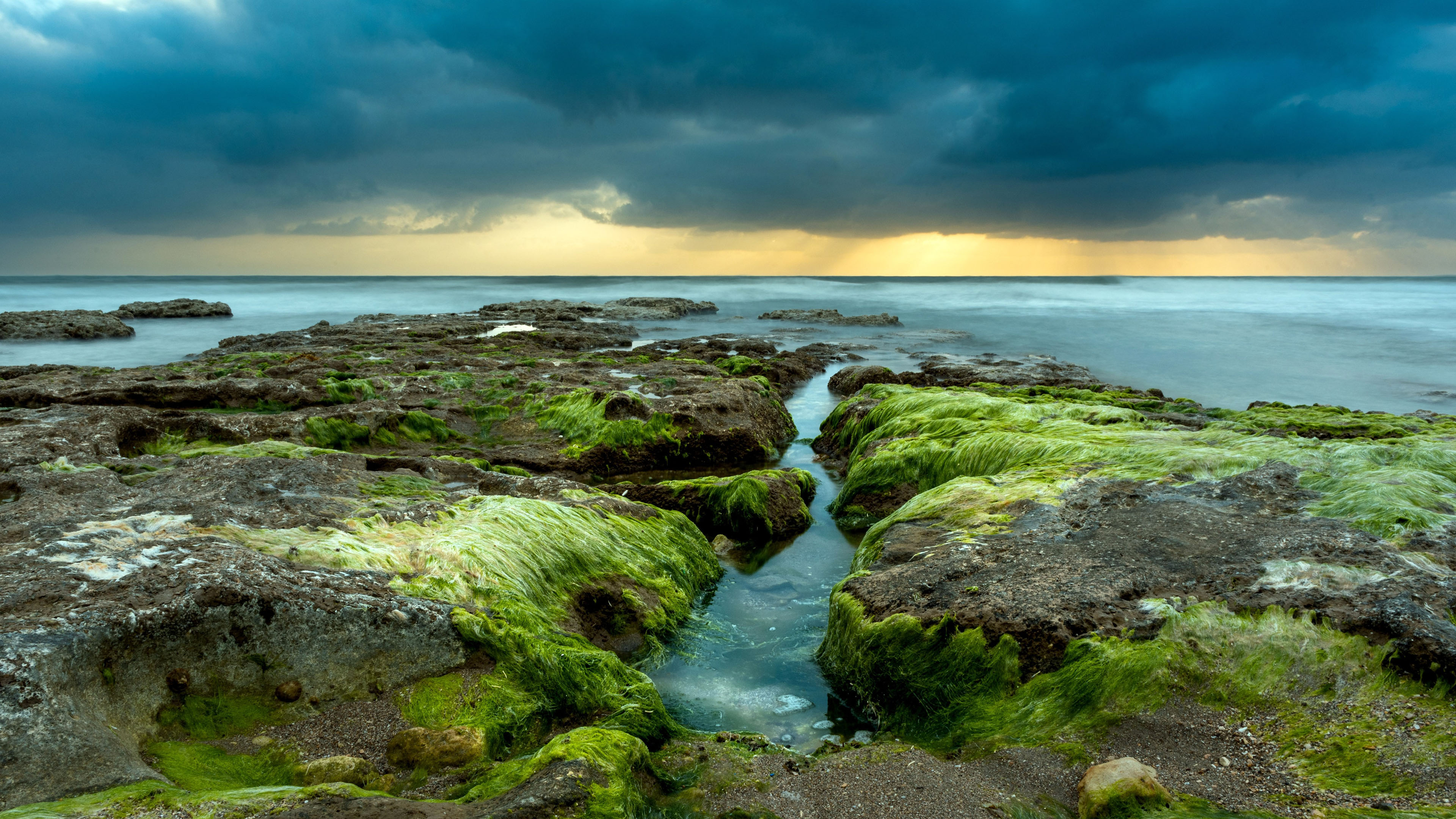 自然风光,青苔,海天相连,乌云