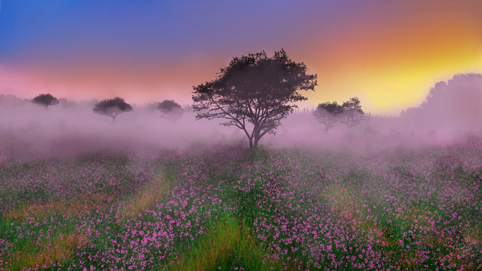 奇幻梦境,花海,迷雾,芬芳