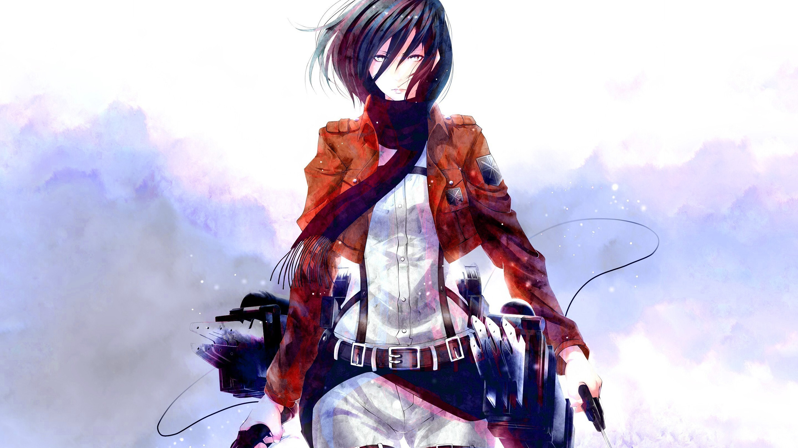 进击的巨人,三笠,调查队