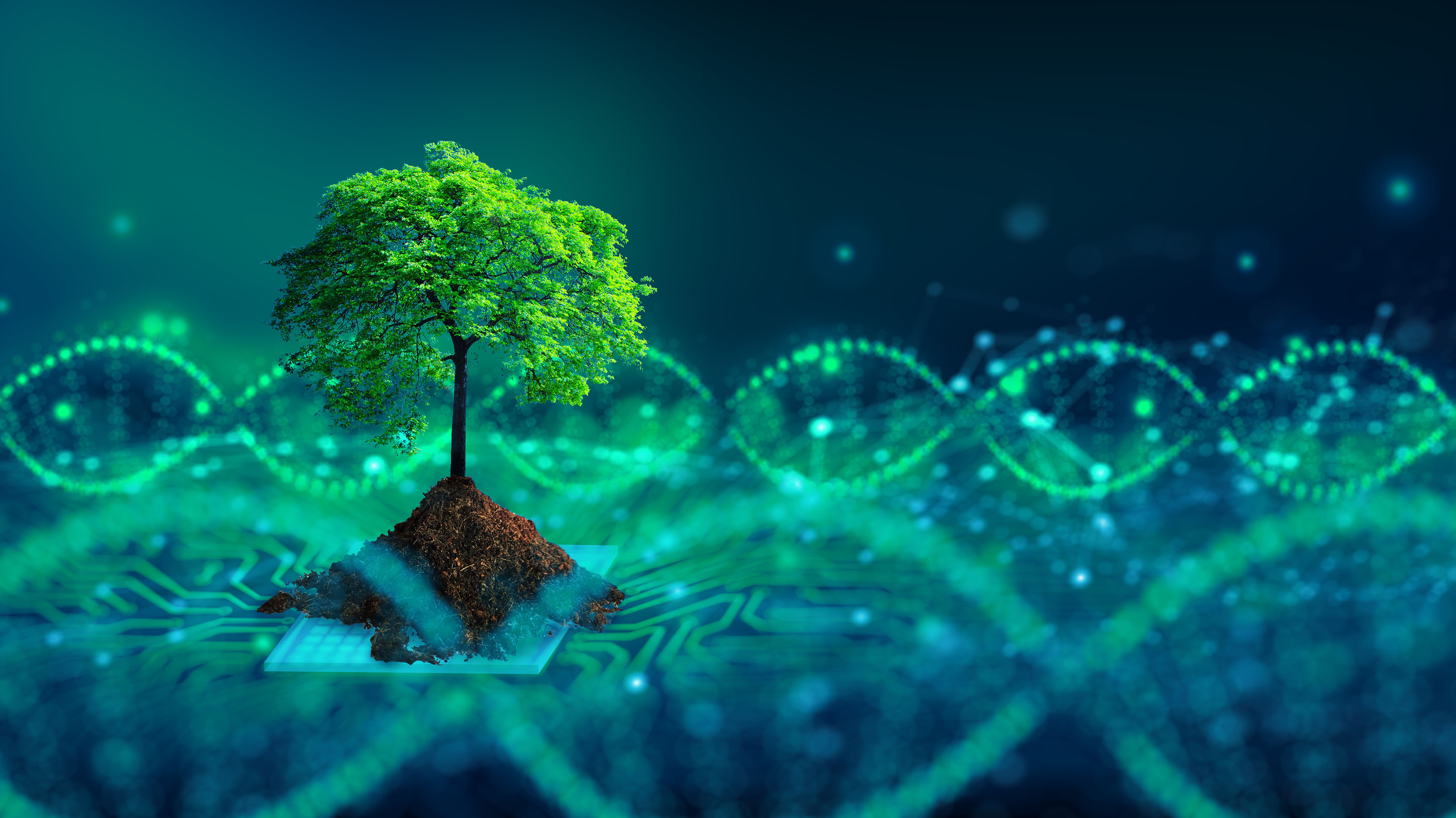 芯片,泥土,科技,小树