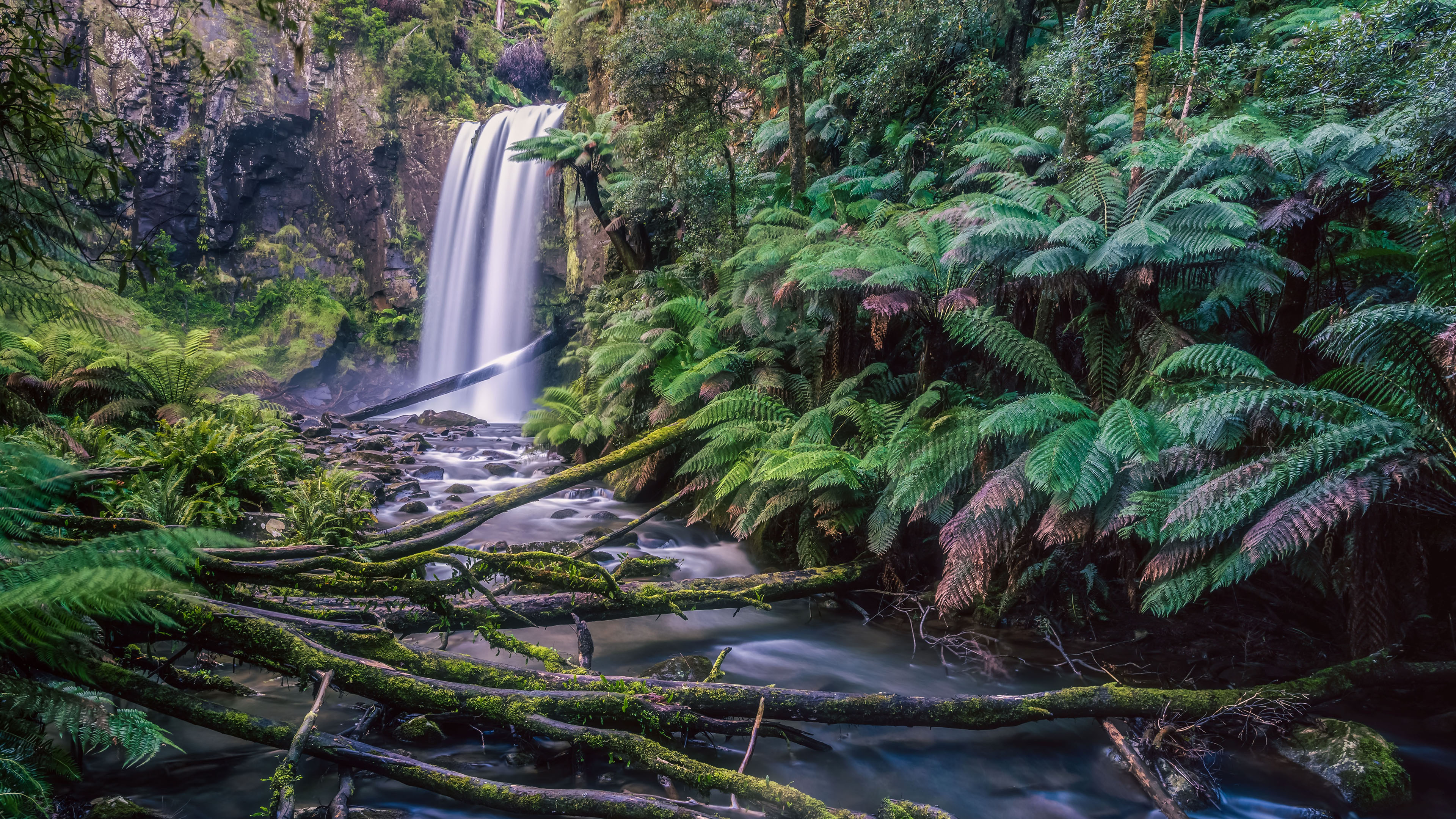 自然风光,瀑布,河流,峡谷,森林