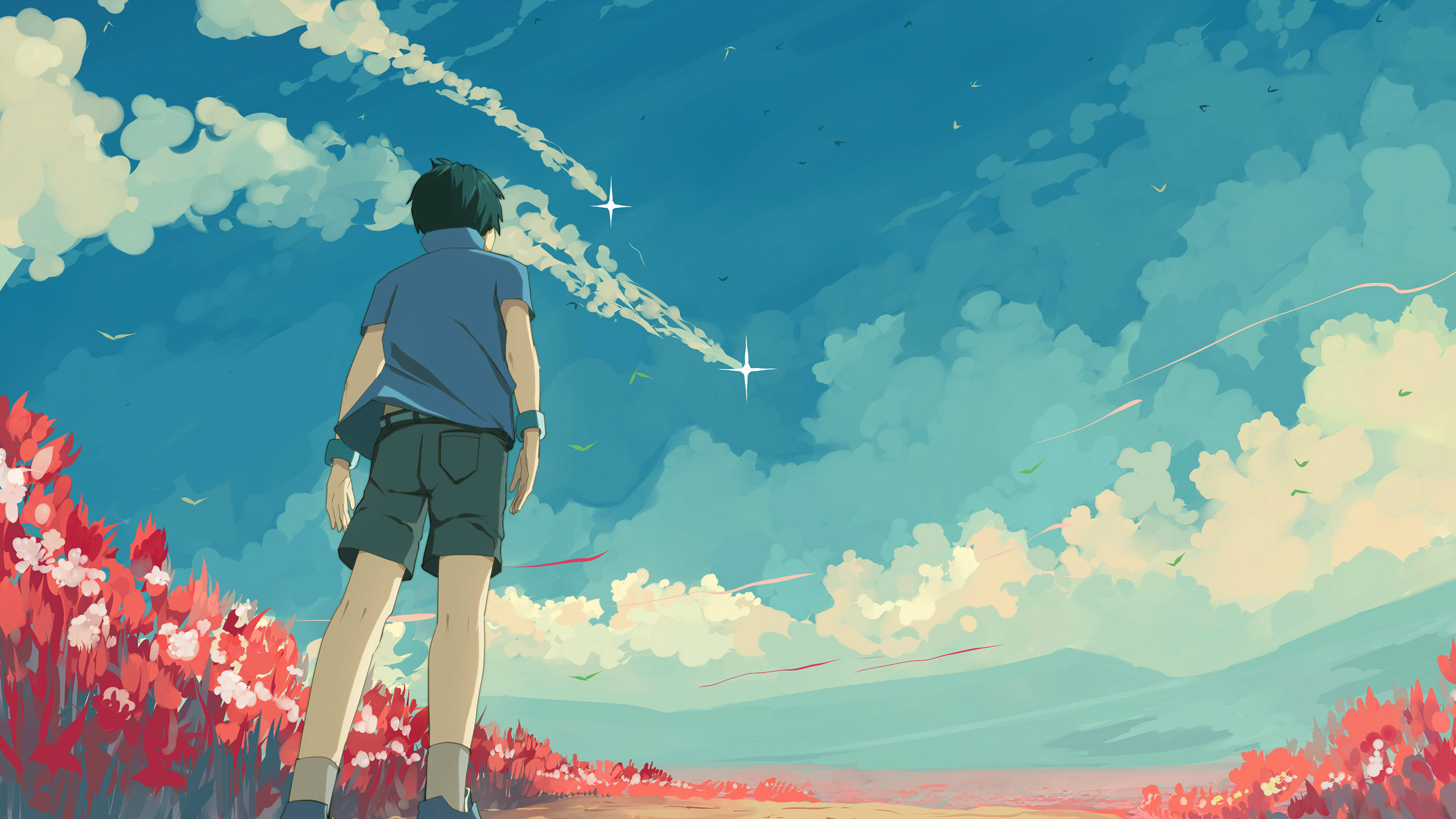 流星,云朵,天空,鲜花,背影