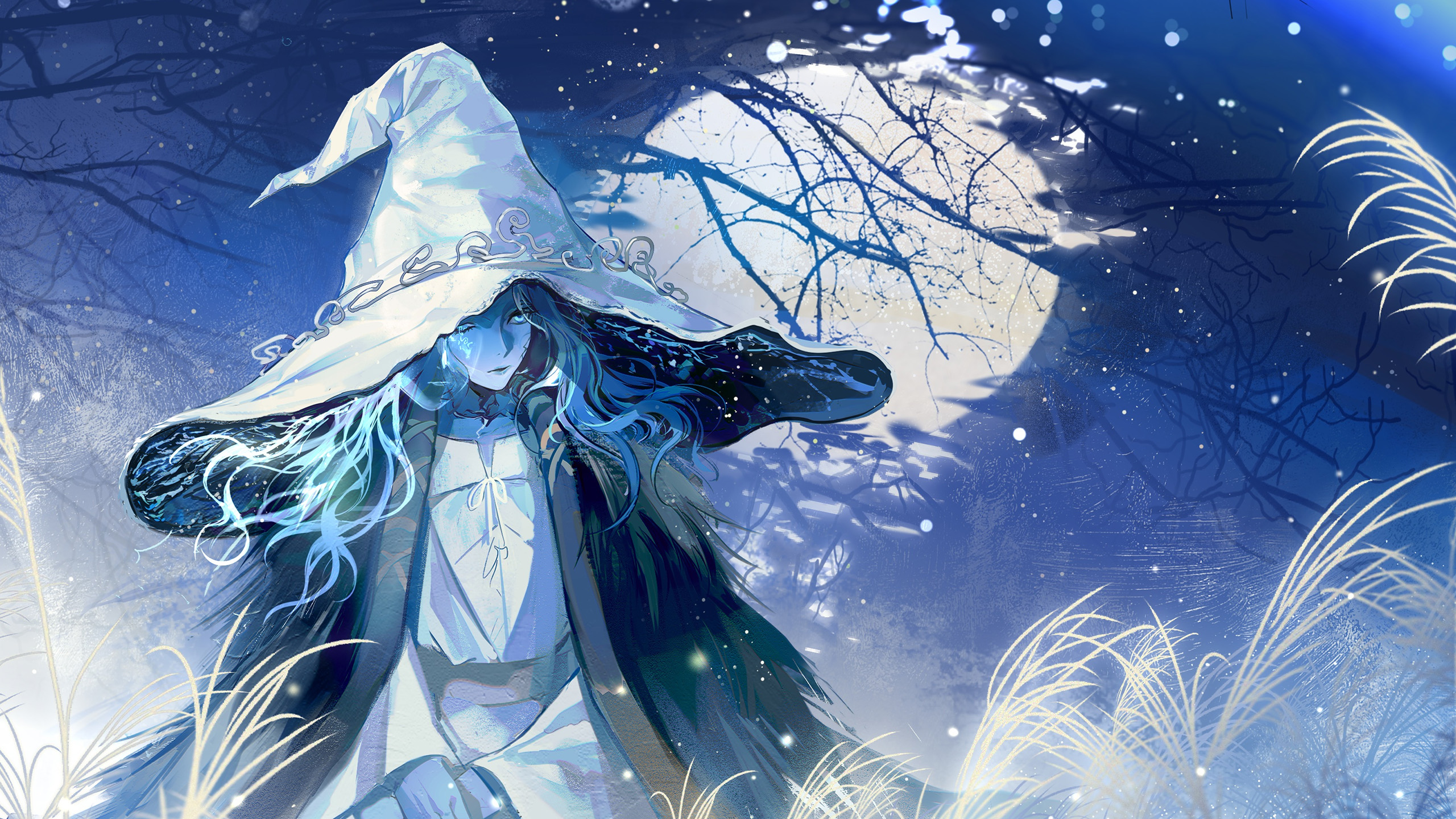 主机游戏,拉妮,魔法师,月亮