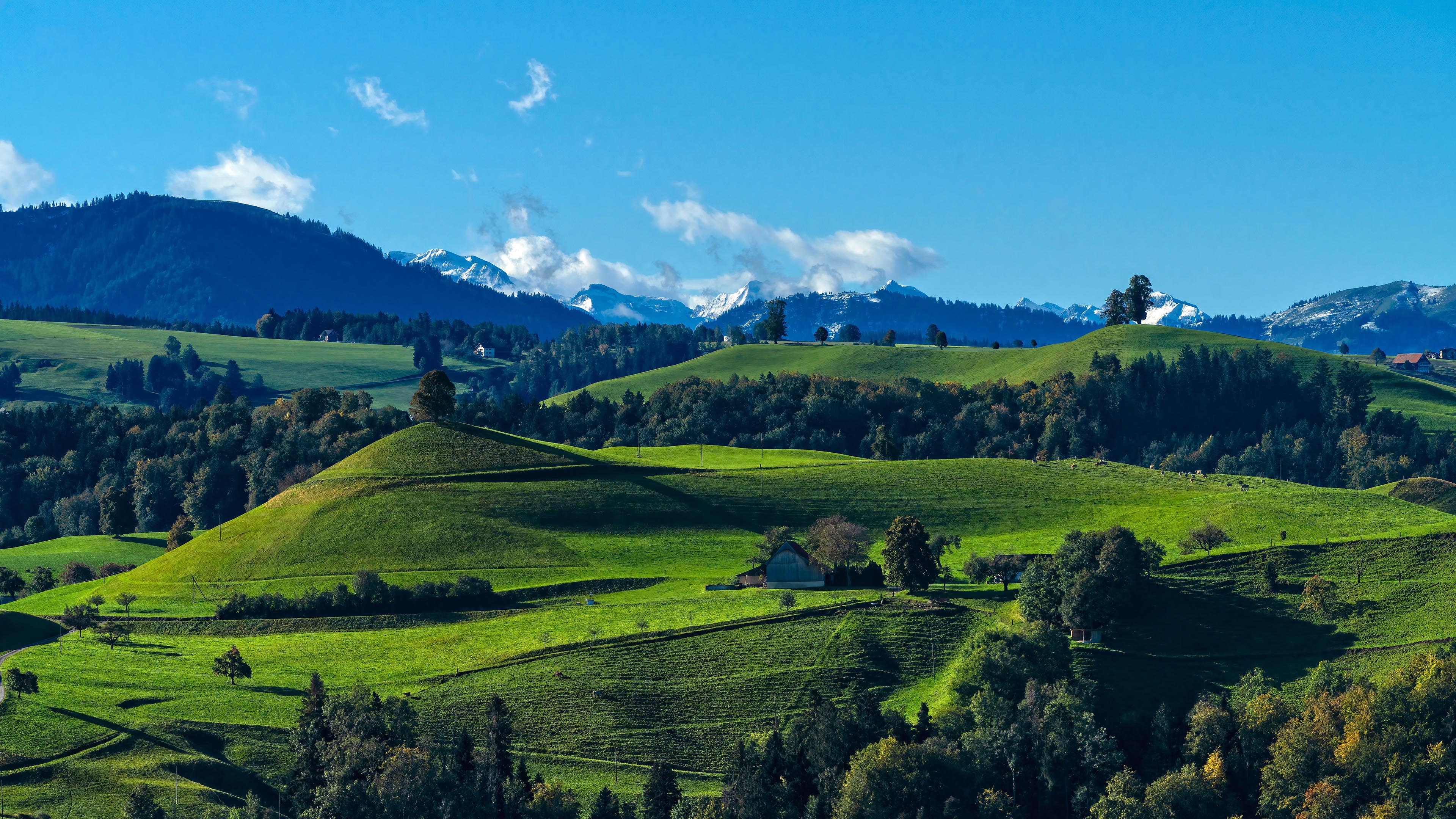 蓝天白云,山坡,翠绿,护眼