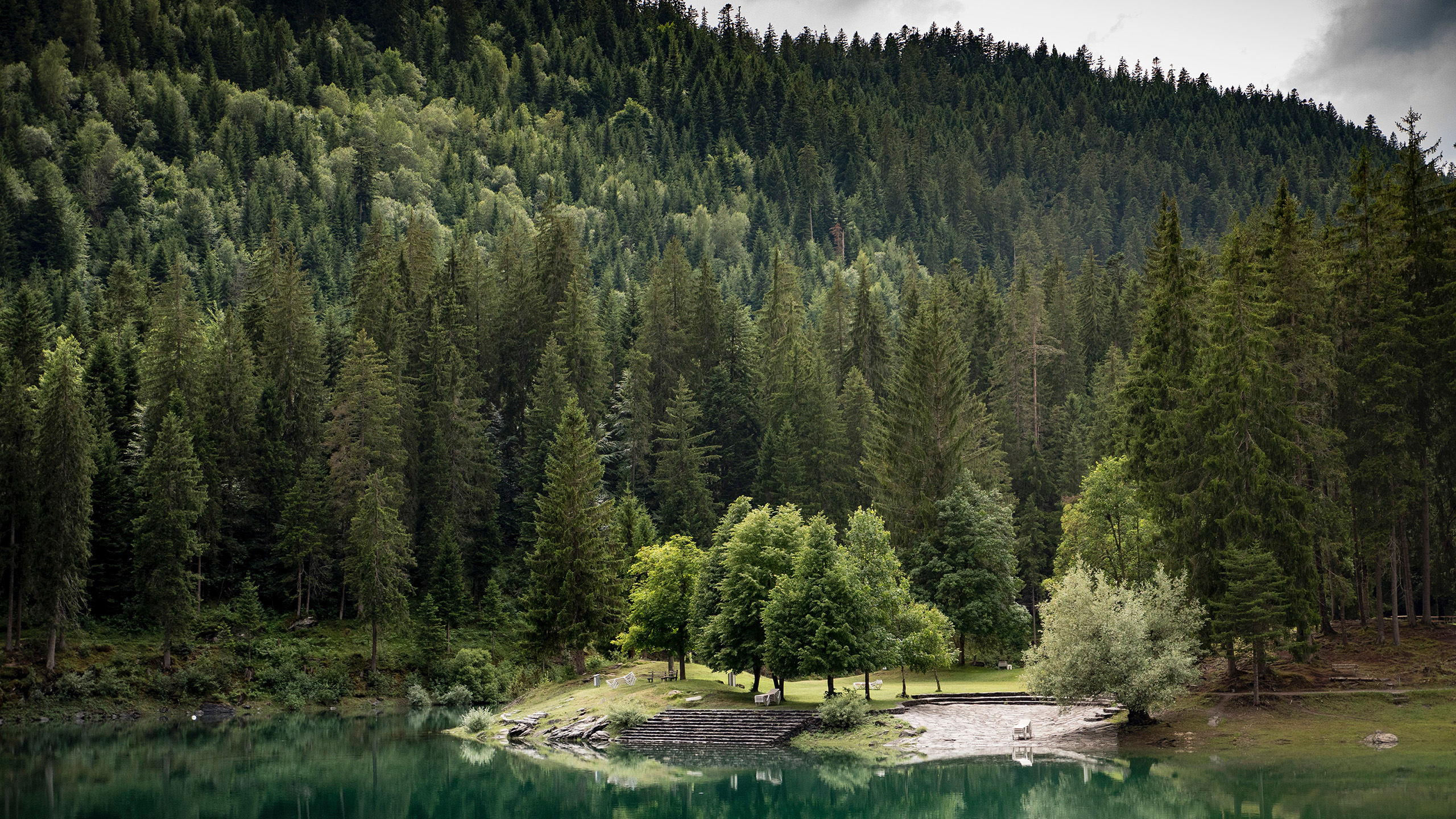 自然风光,树林,湖水,青山绿水
