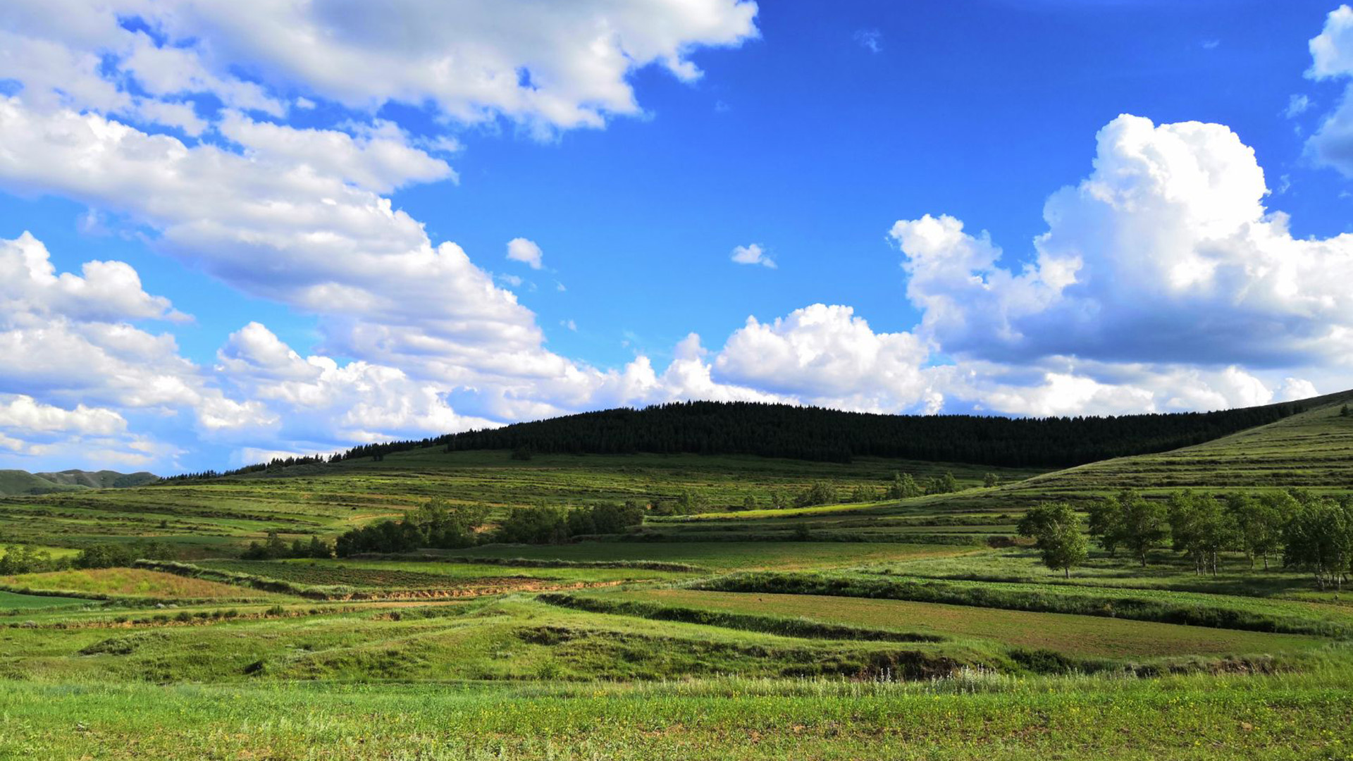 自然风光,美丽,草原,山坡,云朵