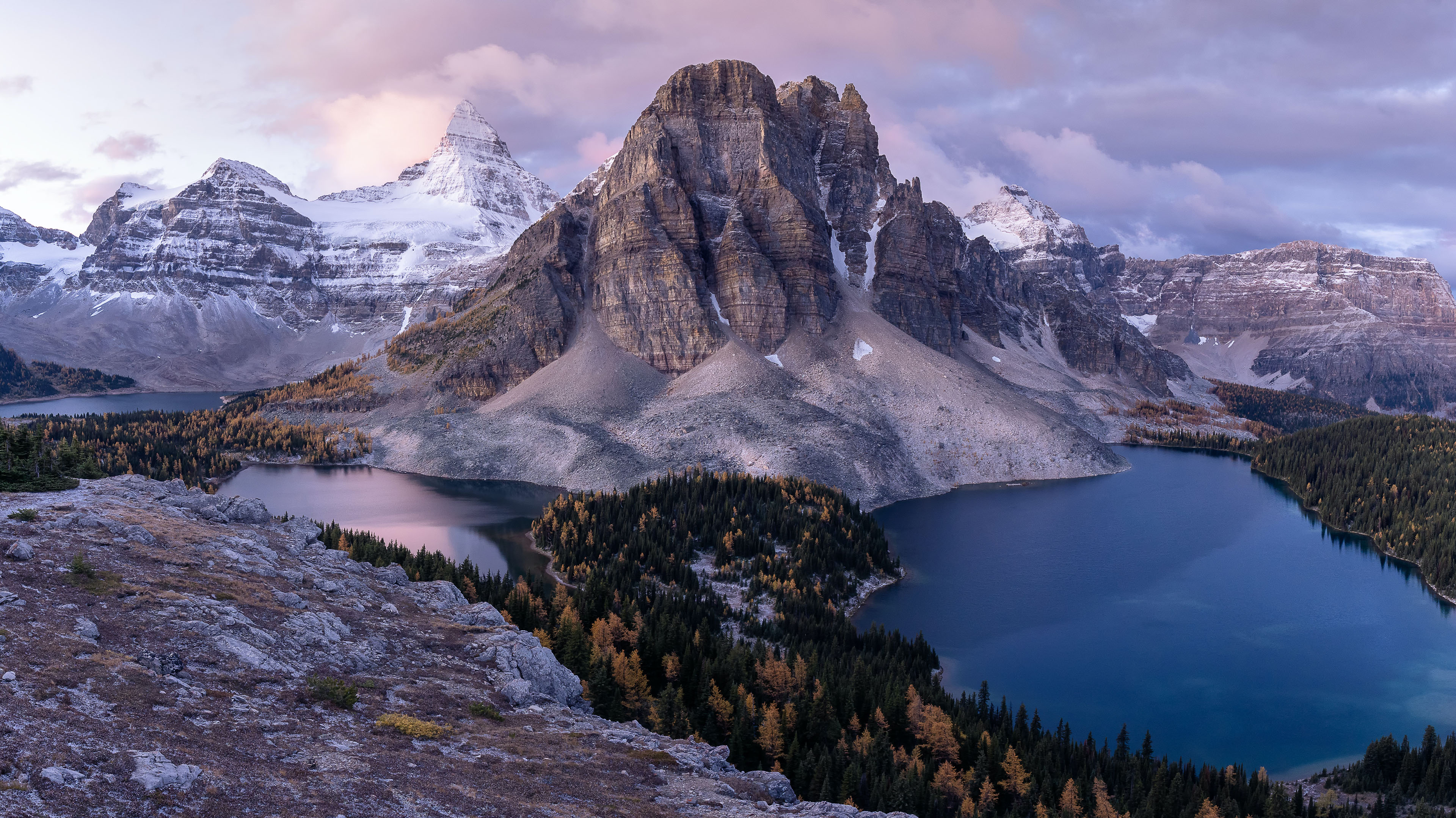 冰天雪地,雪山,高原,树林