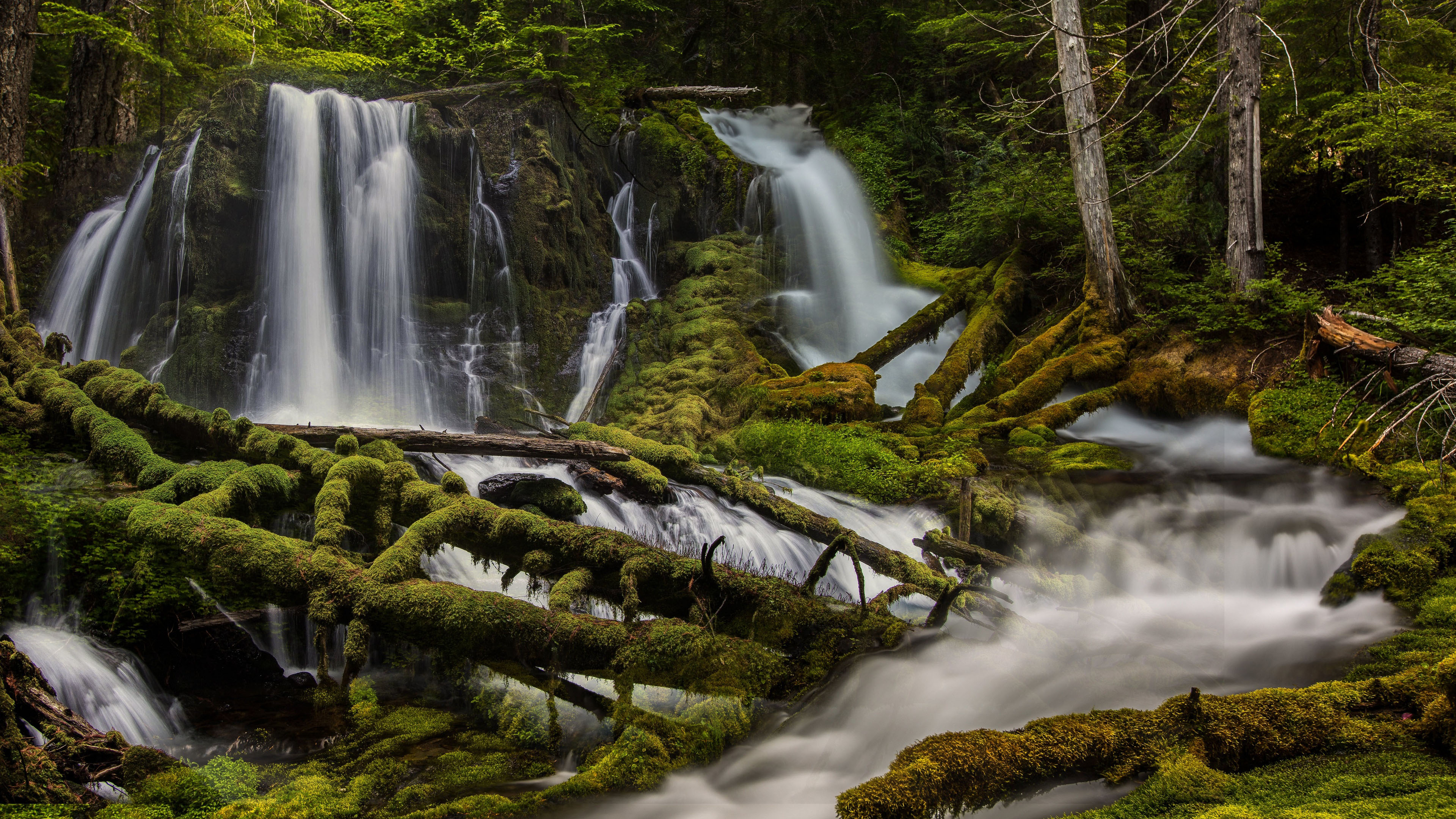 自然风光,瀑布,青苔,原始森林