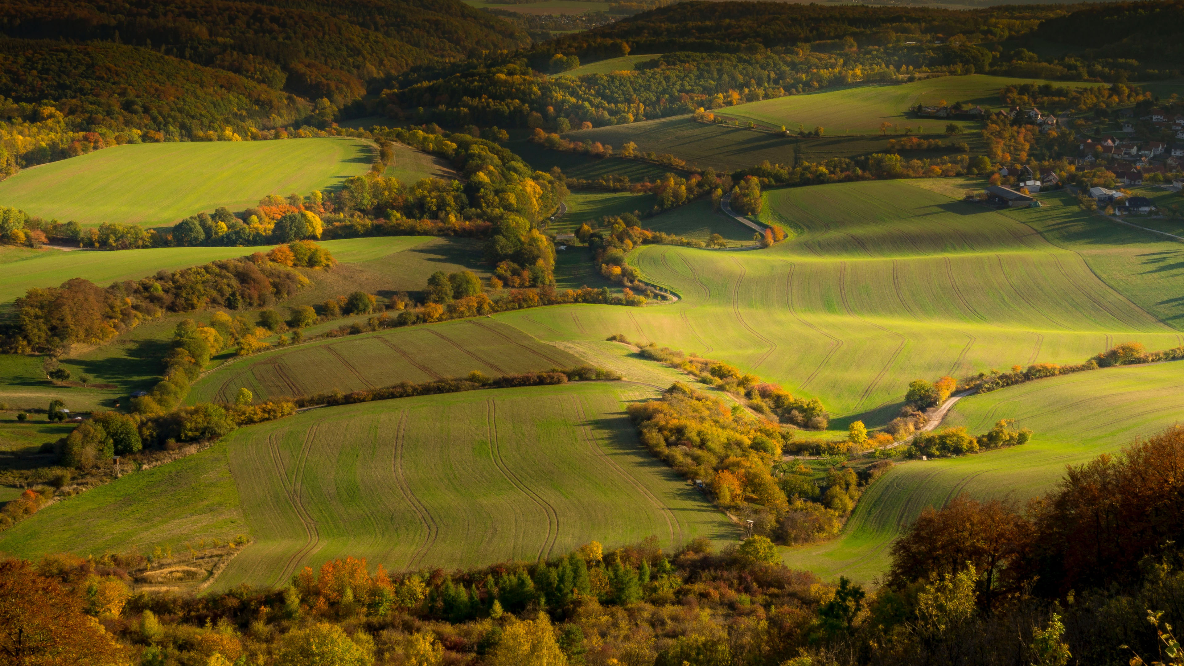 秋意正浓,庄园,树林,深秋,航拍